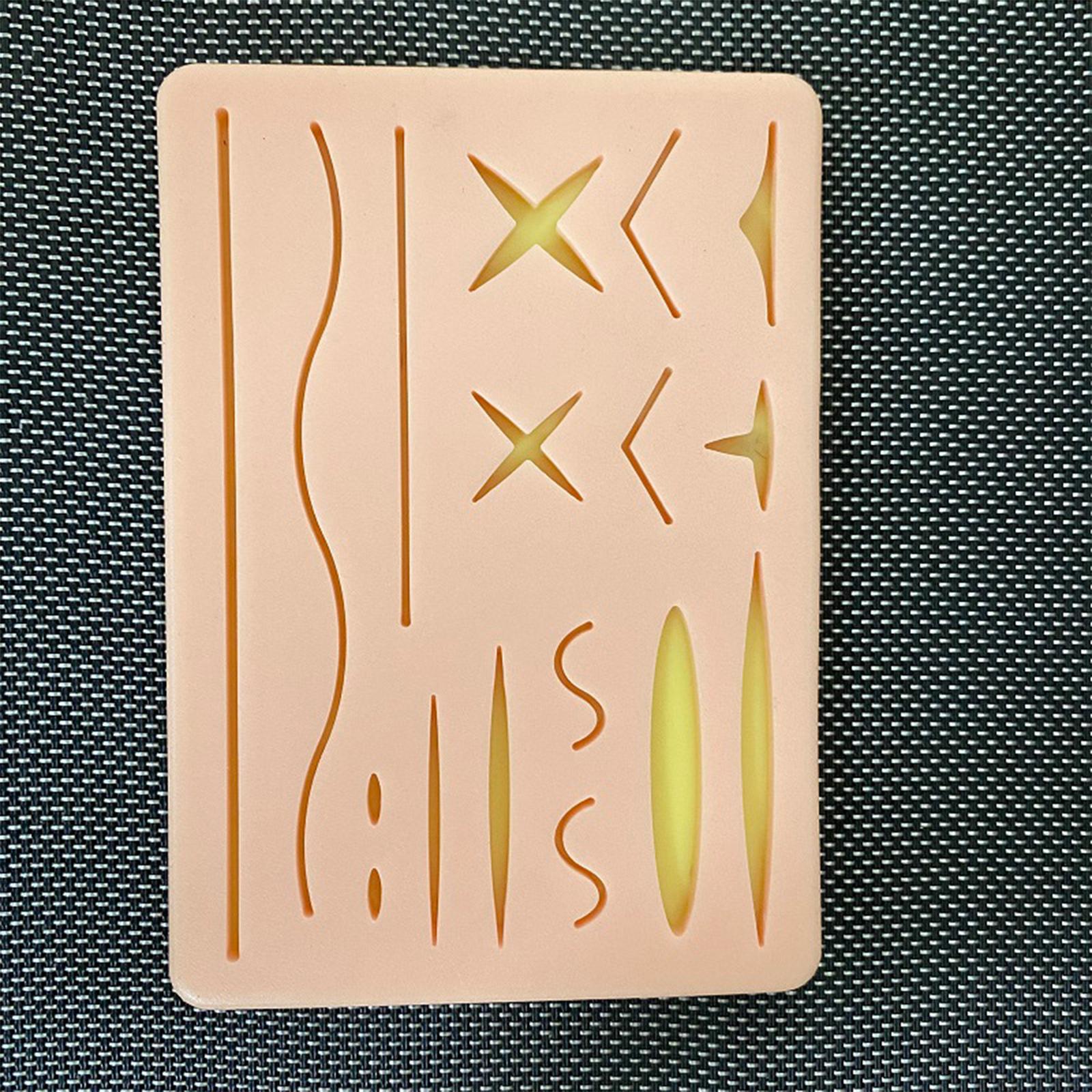 Practice Kit Skin Model for Practicing Teaching Prop Education