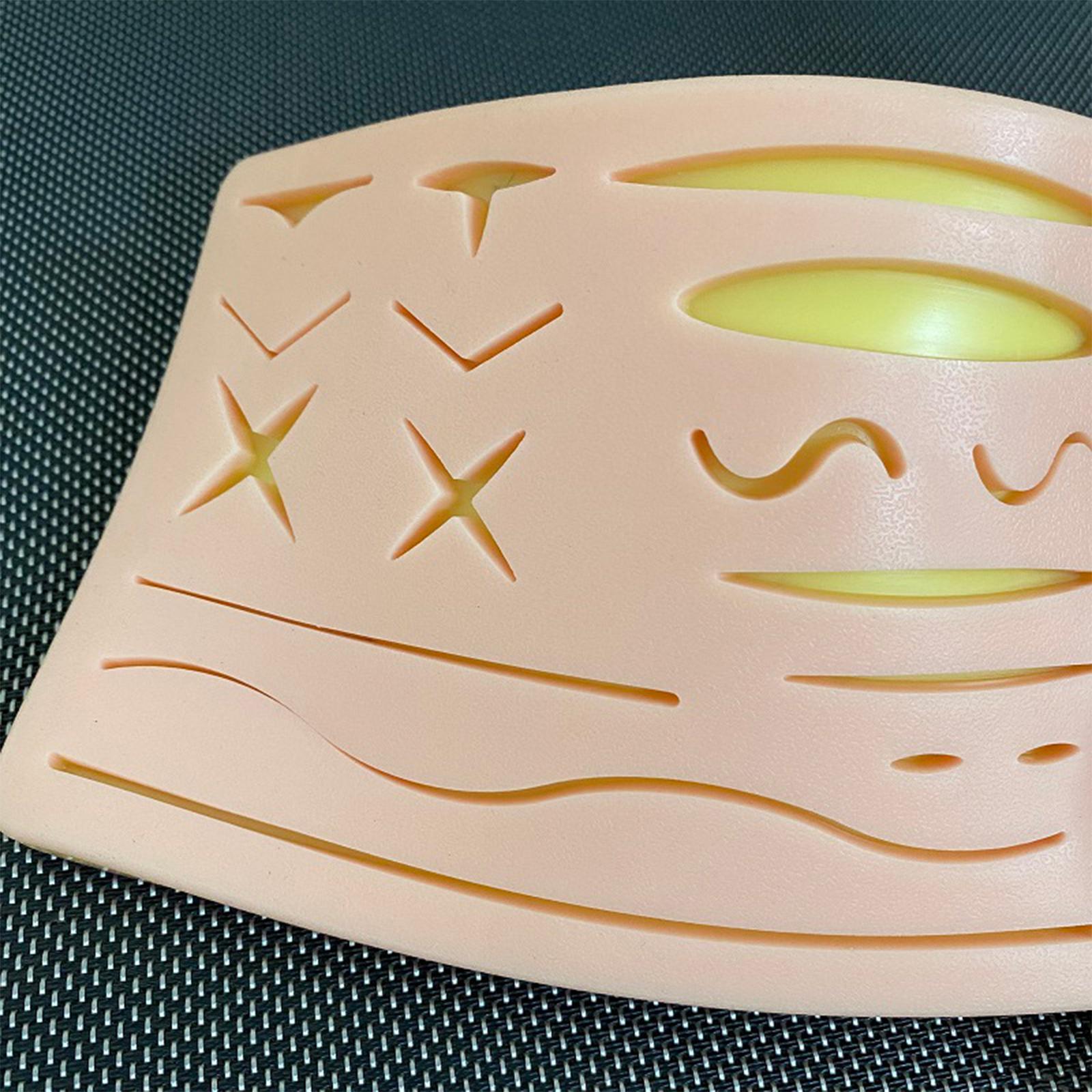 Practice Kit Skin Model for Practicing Teaching Prop Education