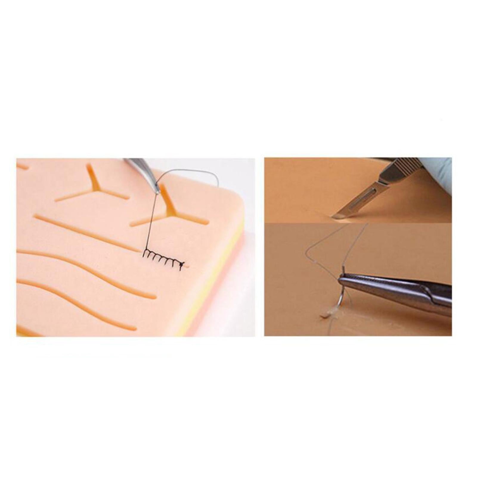 Practice Kit Skin Model for Practicing Teaching Prop Education