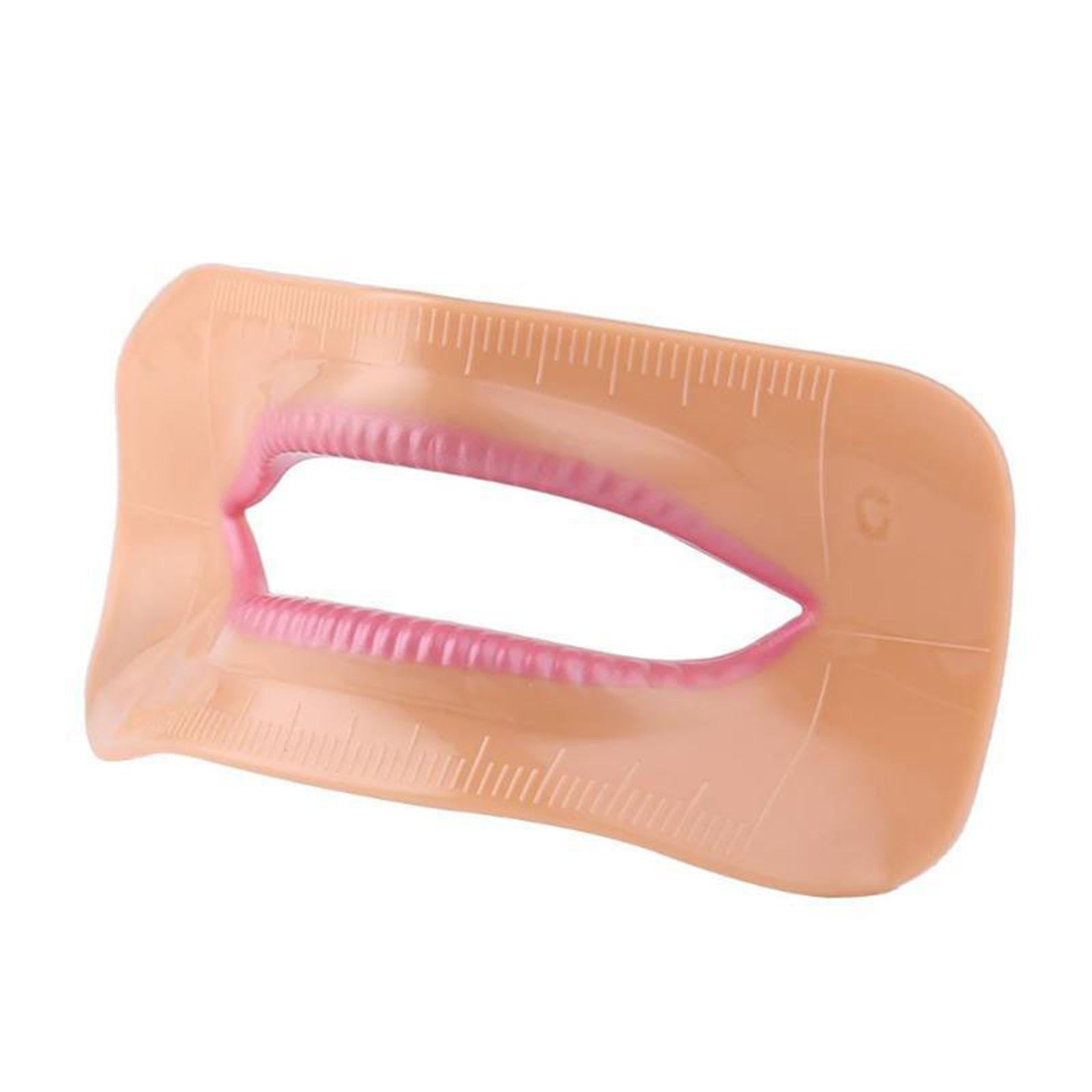 4Pcs Mouth Lip Model Accessories Checking Arrangement Easy Use Lightweight