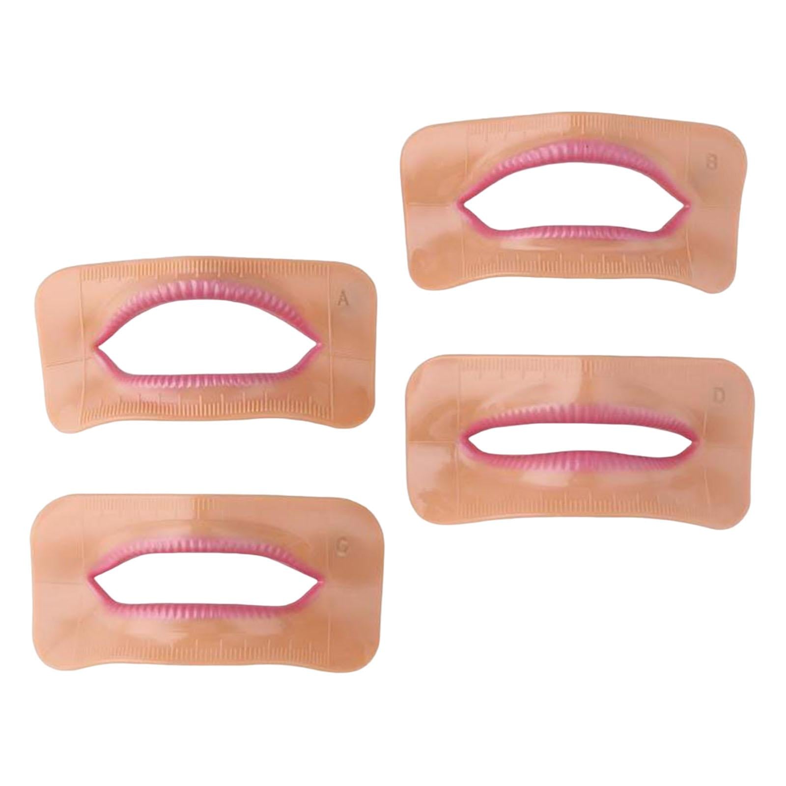 4Pcs Mouth Lip Model Accessories Checking Arrangement Easy Use Lightweight