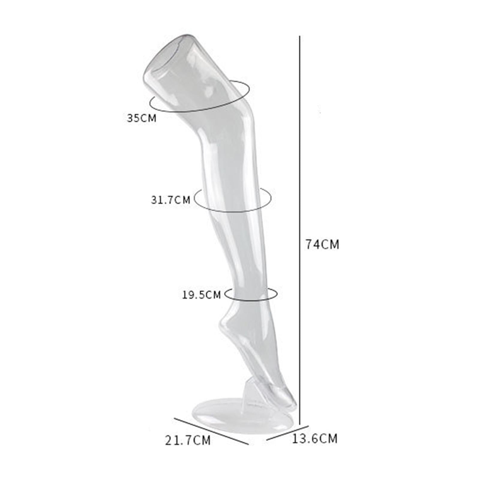 Freestanding Women Leg Models Have Long Legs Display Socks Tool for Women Clear