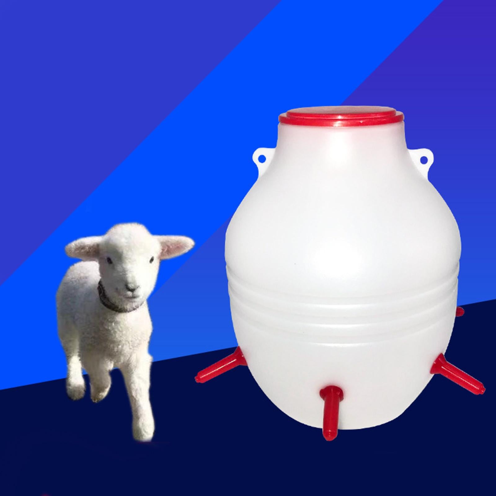 Lamb Feeder Bucket with 6 Nipples 8L for Poultry Feeding Pot for Outdoor