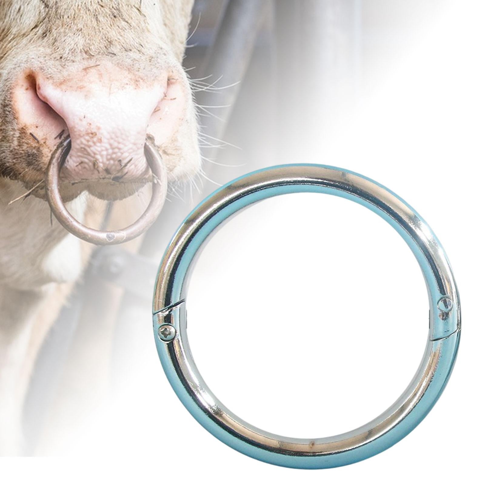 Multifunction Cattle Nose Ring Durable Nose Circle Easy to Use for Supplies L