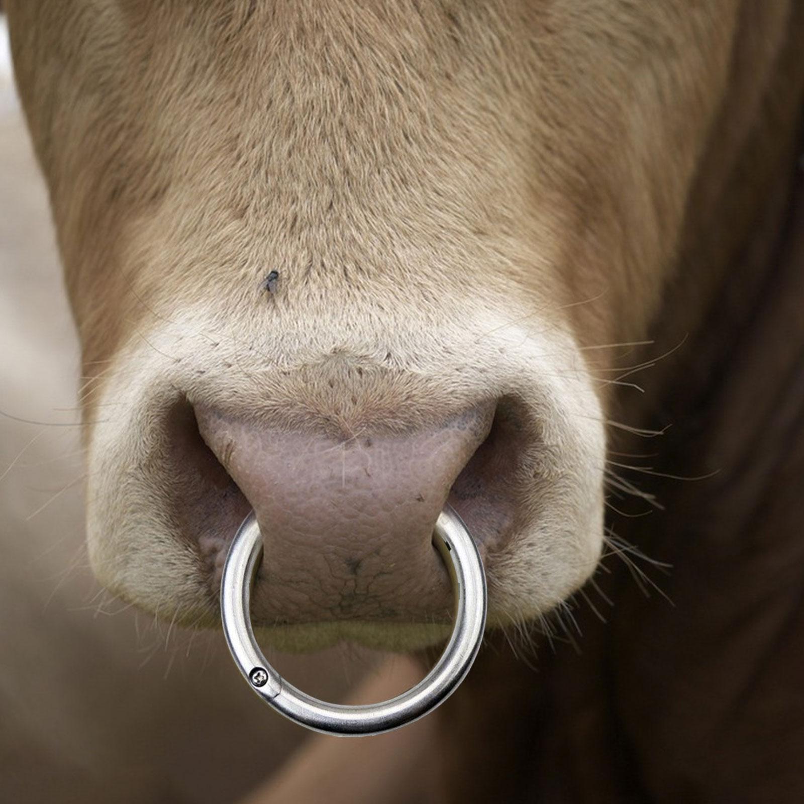 Multifunction Cattle Nose Ring Durable Nose Circle Easy to Use for Supplies S