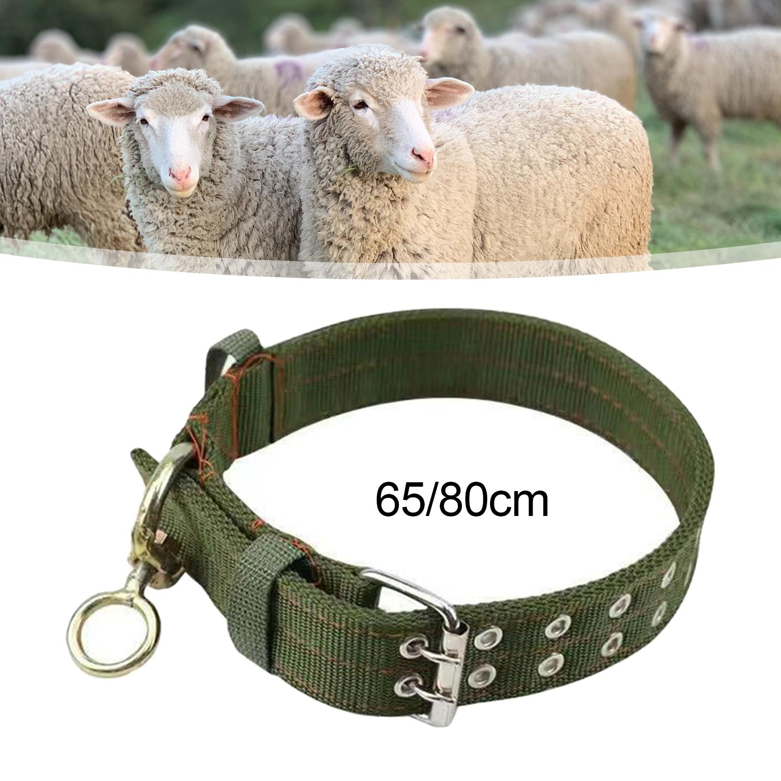 Multifunction Cow Collar Oxford Cloth Adjustable Thicken for Sheep Cow 65cm