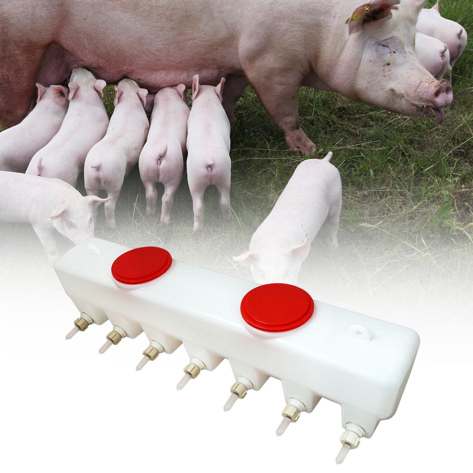 Farm Feeder Pet Nursing Station Silicone for Sheep Small Newborn Pets Rabbit
