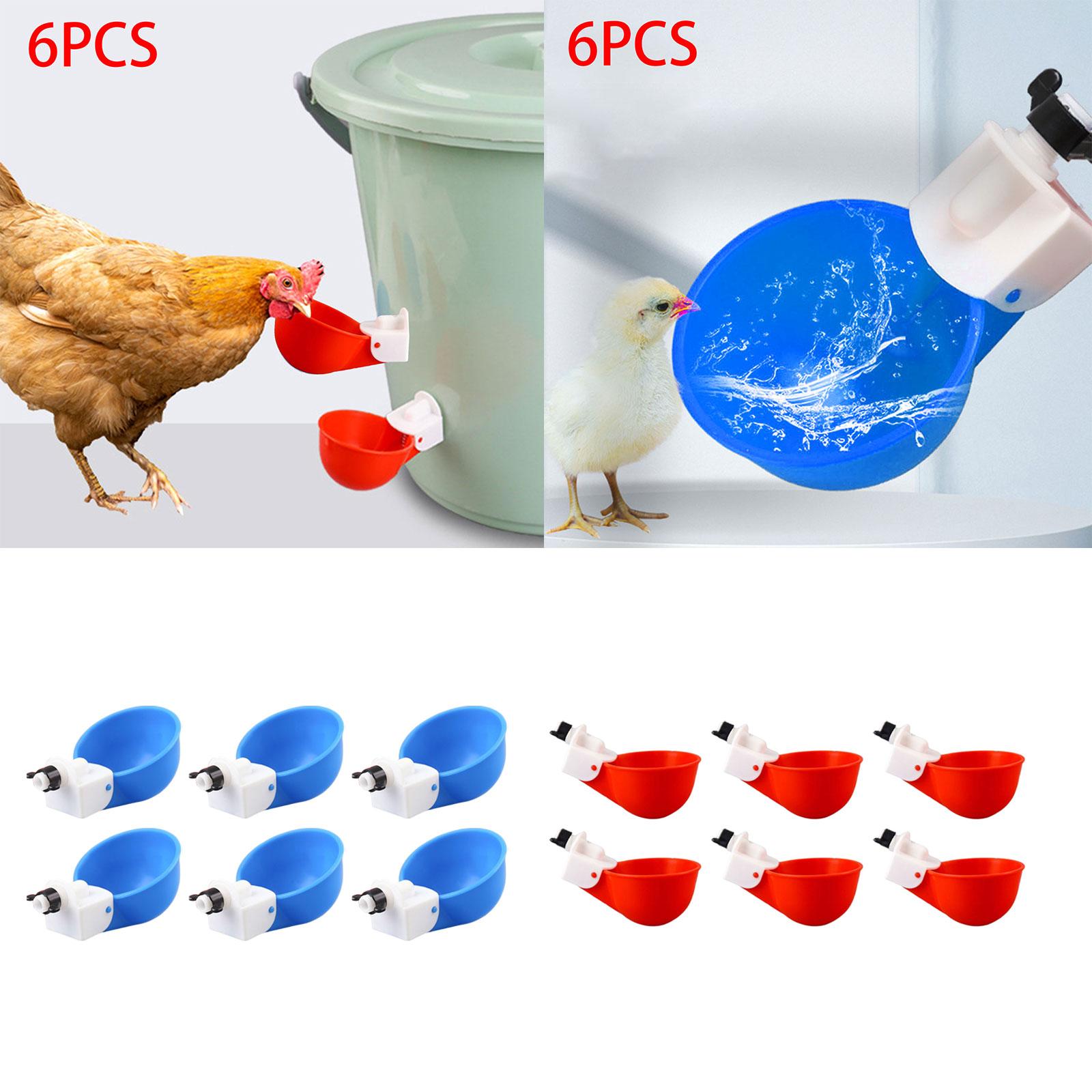 6Pcs Chicken Feeders Chicken Watering Cup Chicken Waterer for Birds Quail Red