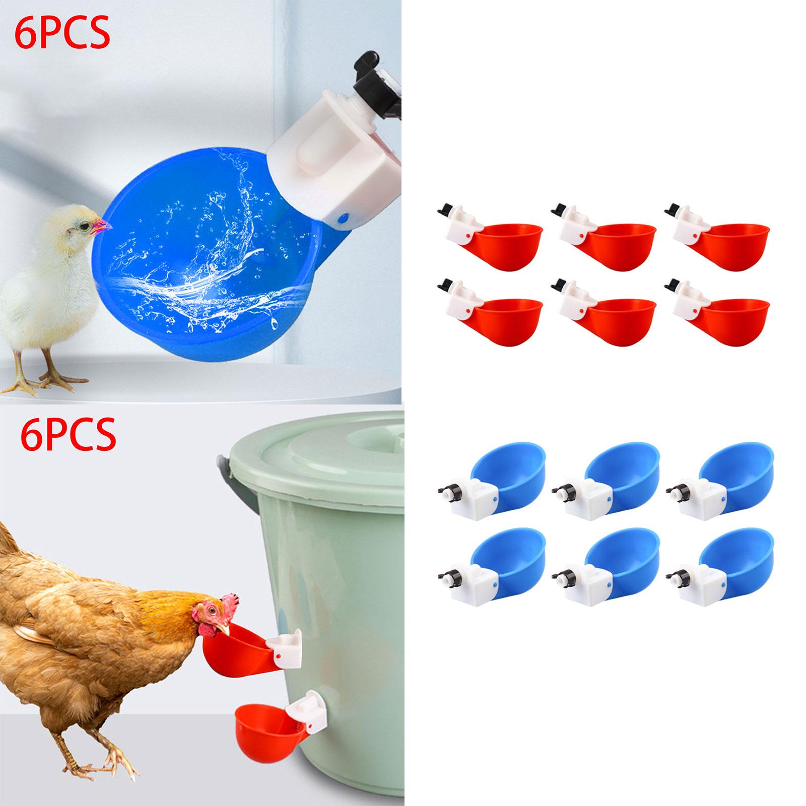 6Pcs Chicken Feeders Chicken Watering Cup Chicken Waterer for Birds Quail Red