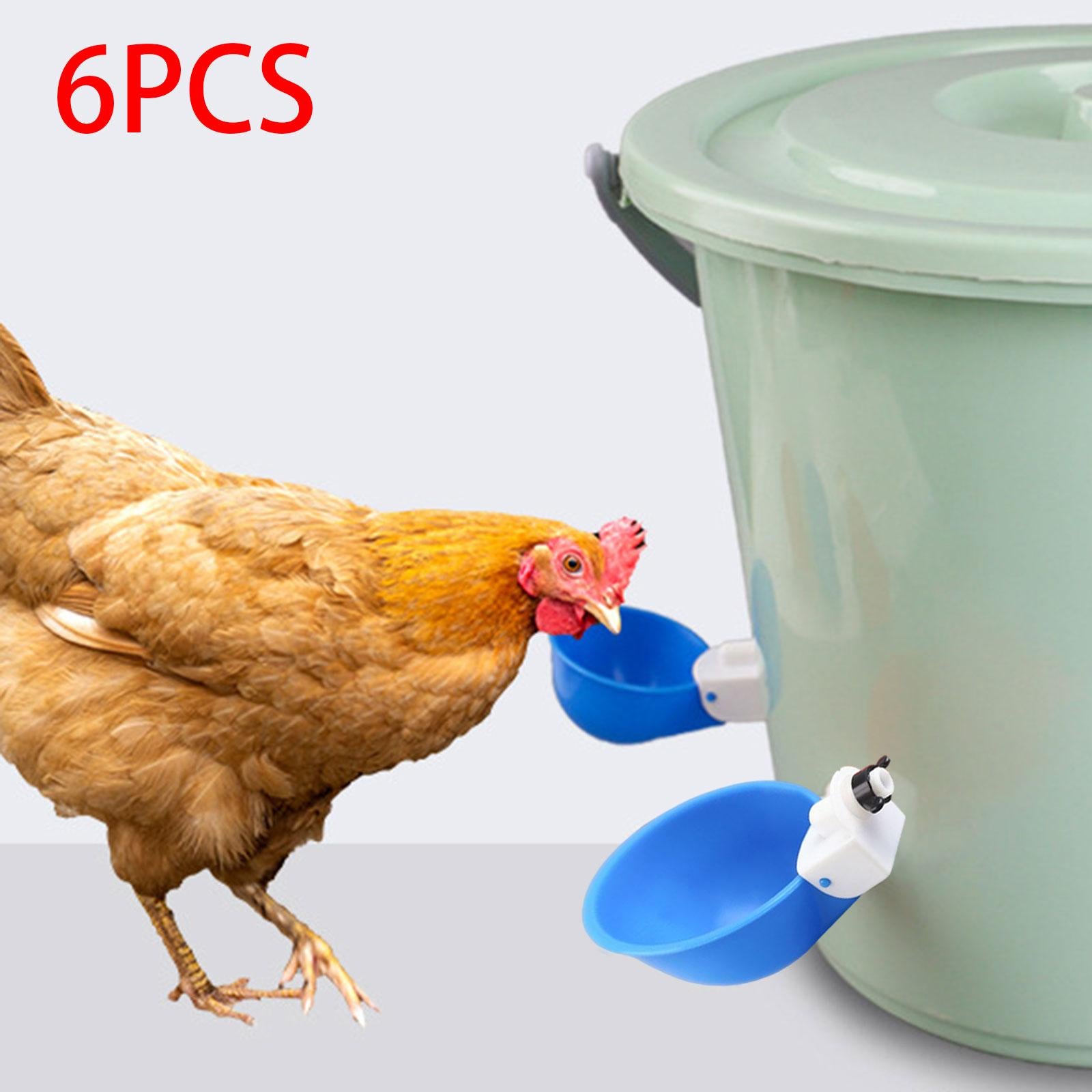 6Pcs Chicken Feeders Chicken Watering Cup Chicken Waterer for Birds Quail Blue