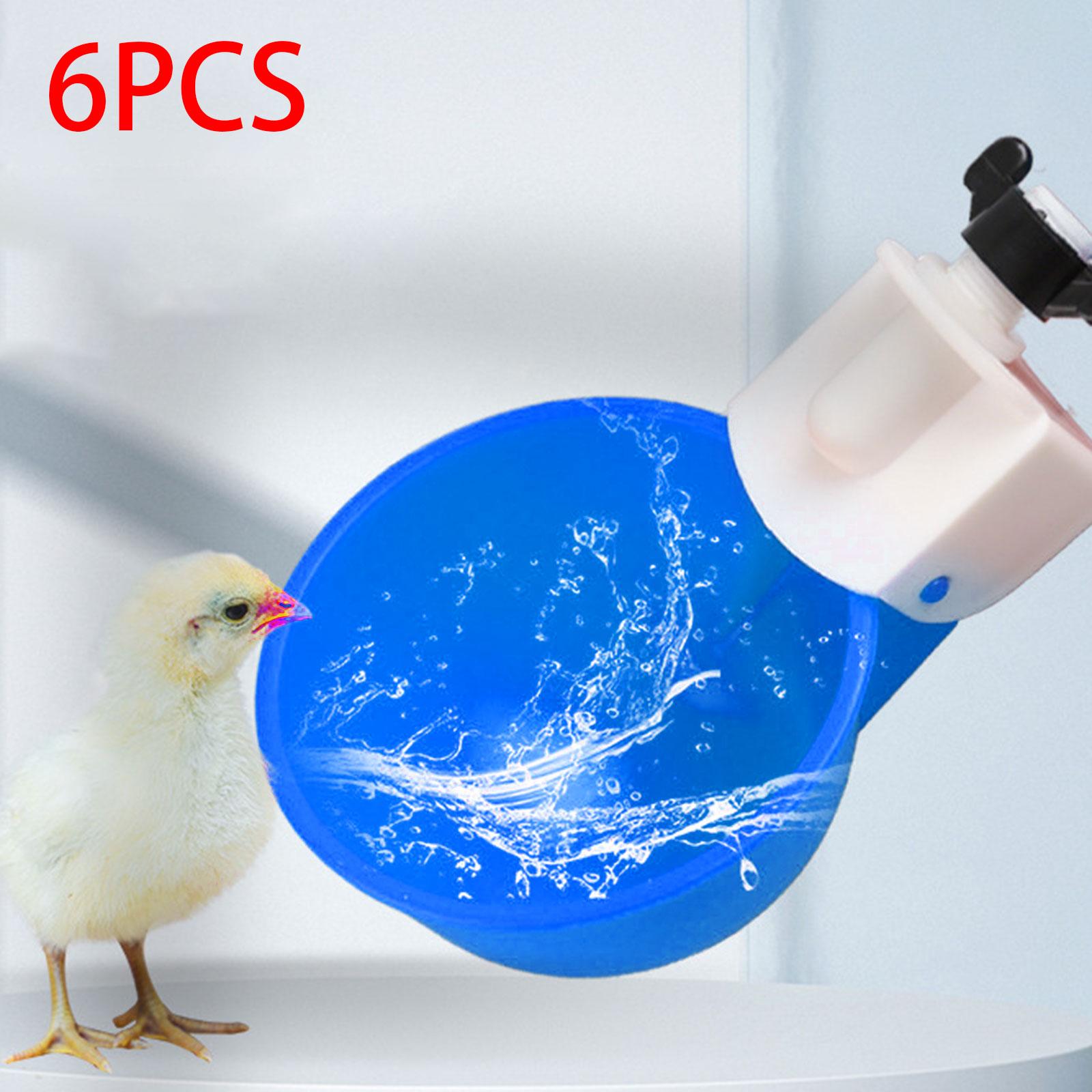 6Pcs Chicken Feeders Chicken Watering Cup Chicken Waterer for Birds Quail Blue