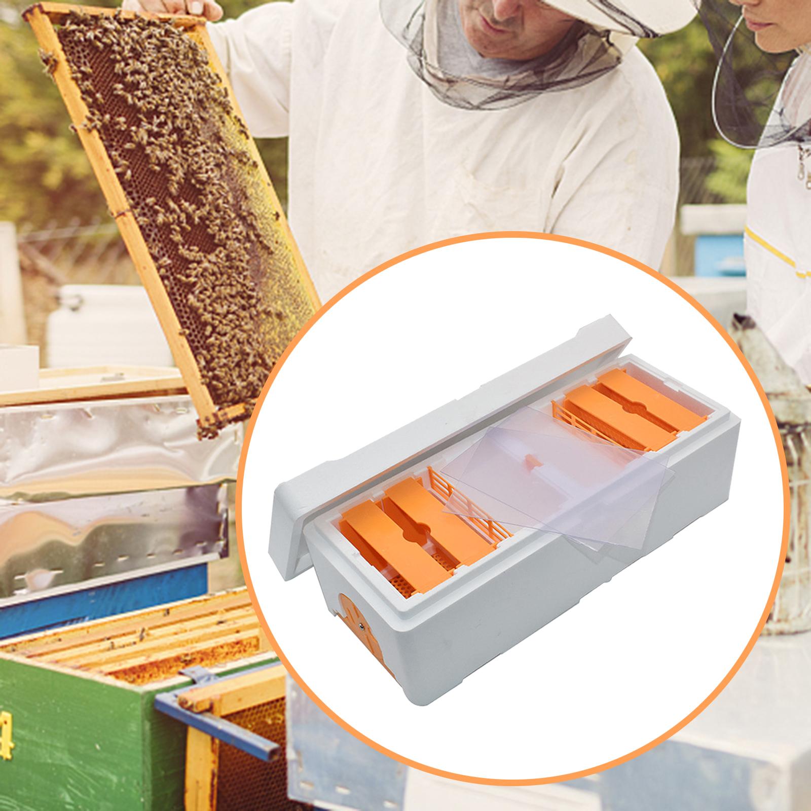 Foam Bee Mating Box Beekeeping Box Portable for outdoor Beekeeper Supplies