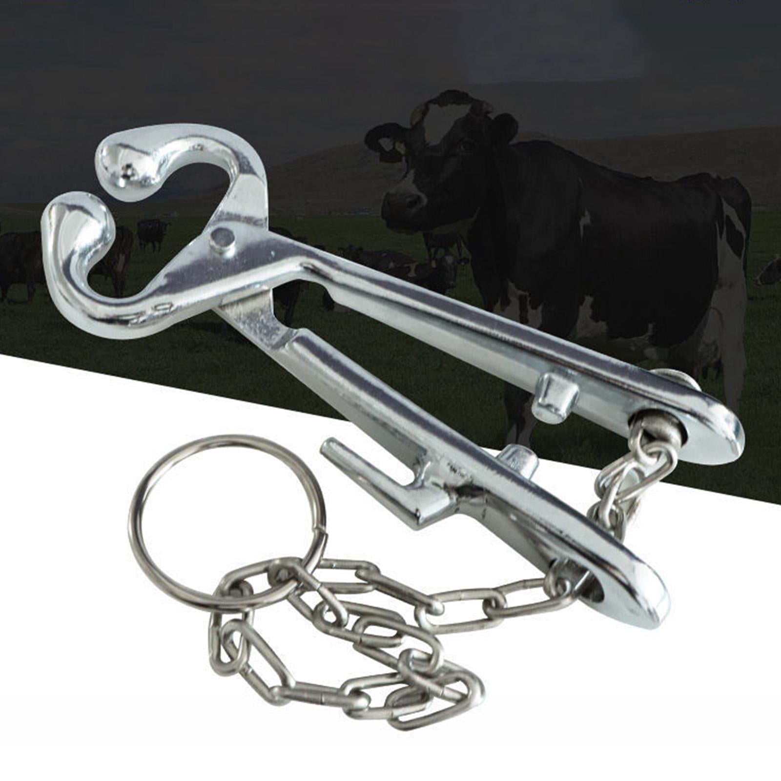 Stainless Steel Cattle Nose Pliers Punch Plier Piercing Bull for Husbandry