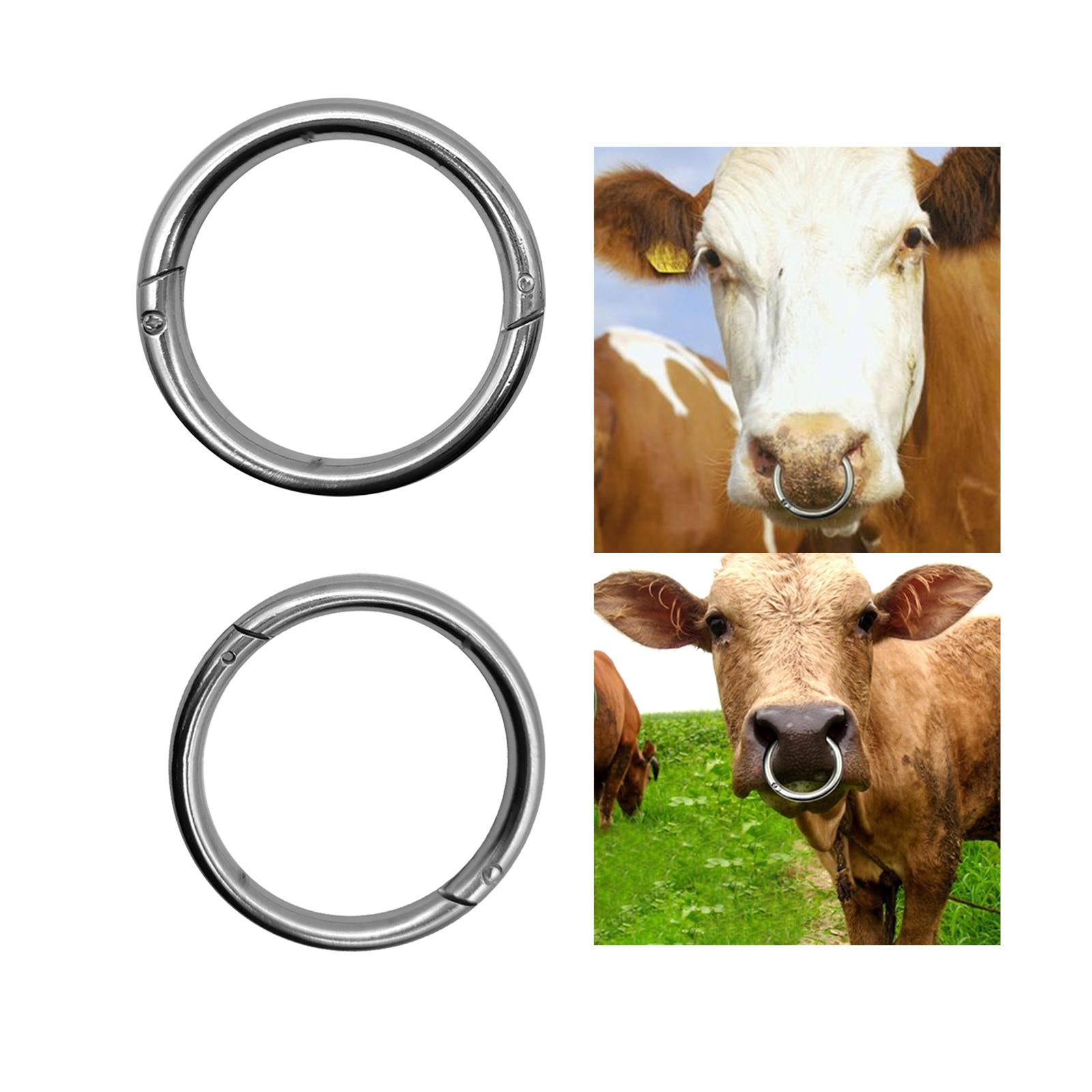 Cattle Nose Ring Smooth Husbandry Accessory Durable for Supplies Accessories L