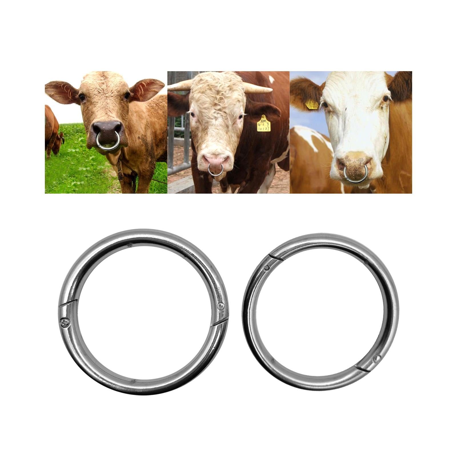 Cattle Nose Ring Smooth Husbandry Accessory Durable for Supplies Accessories L