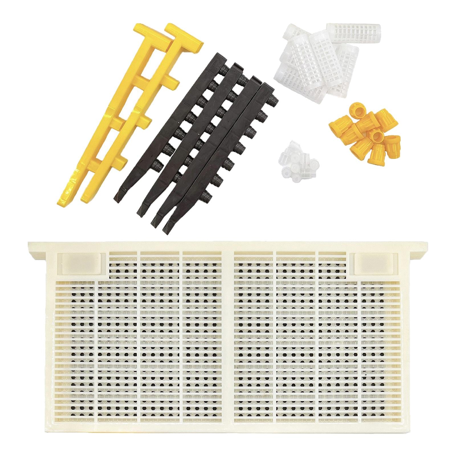 Beekeeping Queen Bee Set Beekeeping Supplies Cage Bees Tools for Agriculture