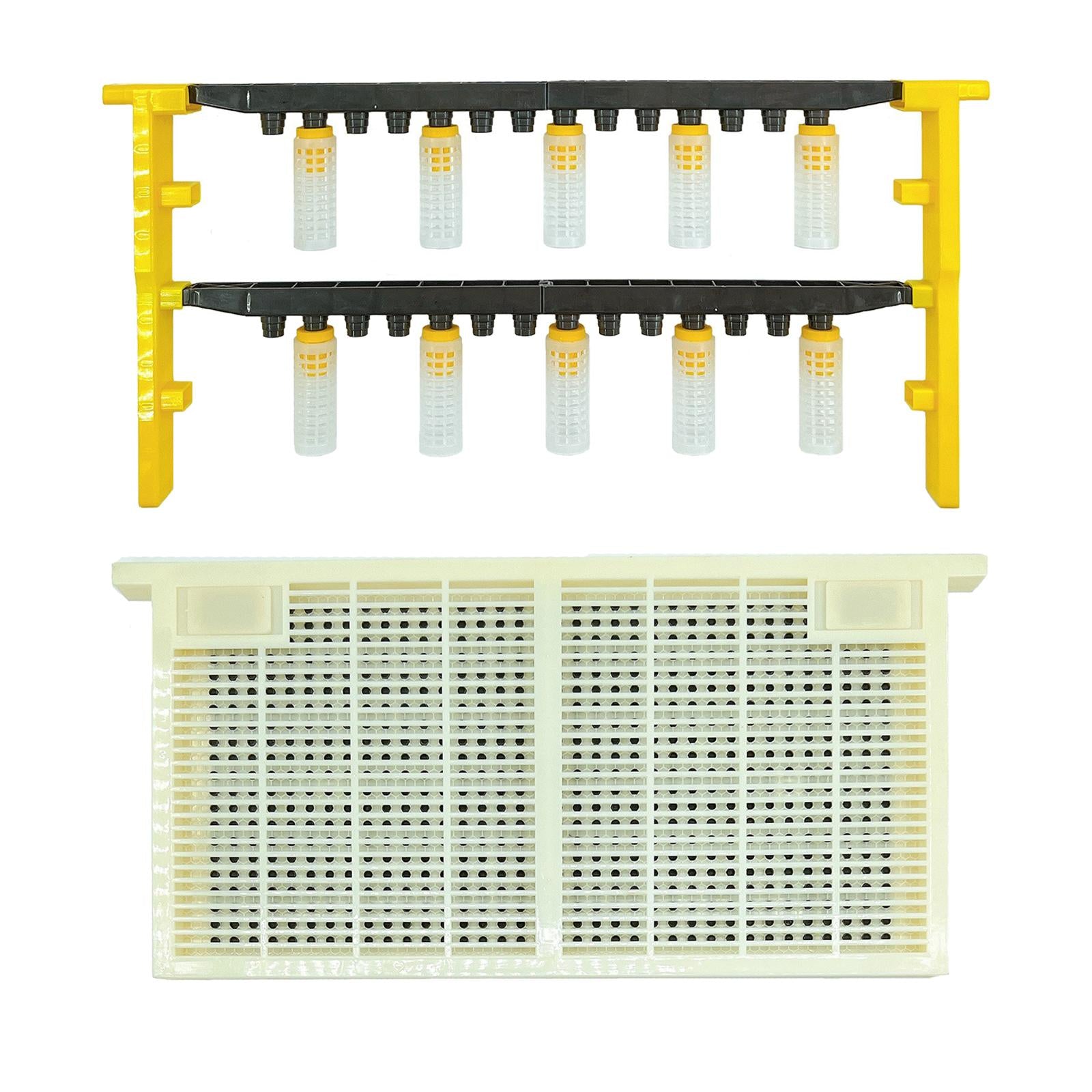 Beekeeping Queen Bee Set Beekeeping Supplies Cage Bees Tools for Agriculture
