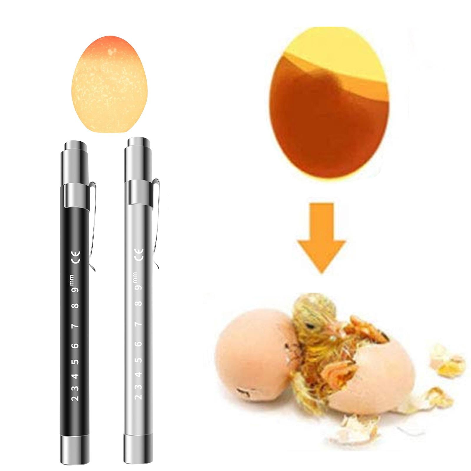 LED Light Egg Candler Tester Hatching Tool Egg Tester for Chicken Quail Duck Black