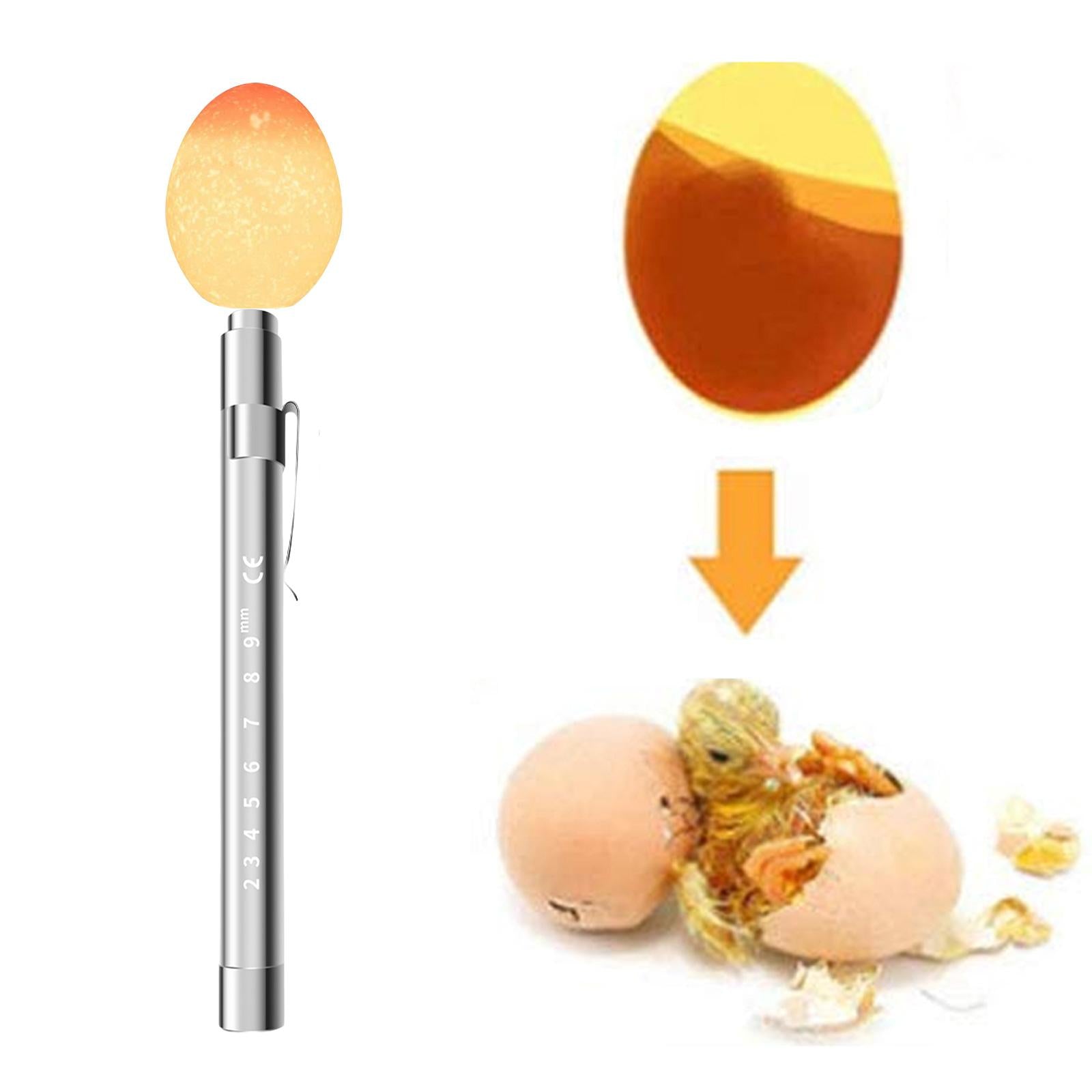 LED Light Egg Candler Tester Hatching Tool Egg Tester for Chicken Quail Duck Argent