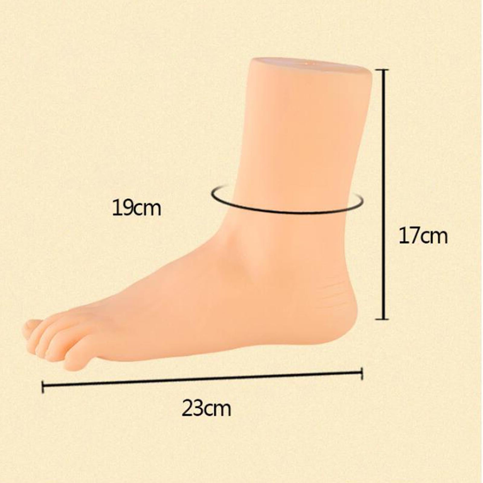 Mannequin Foot Lifelike Adult Feet for Display Ankle Bracelet Short Stocking Left Foot