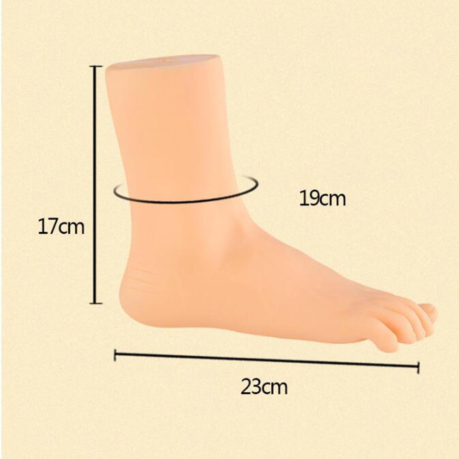 Mannequin Foot Lifelike Adult Feet for Display Ankle Bracelet Short Stocking Right Foot