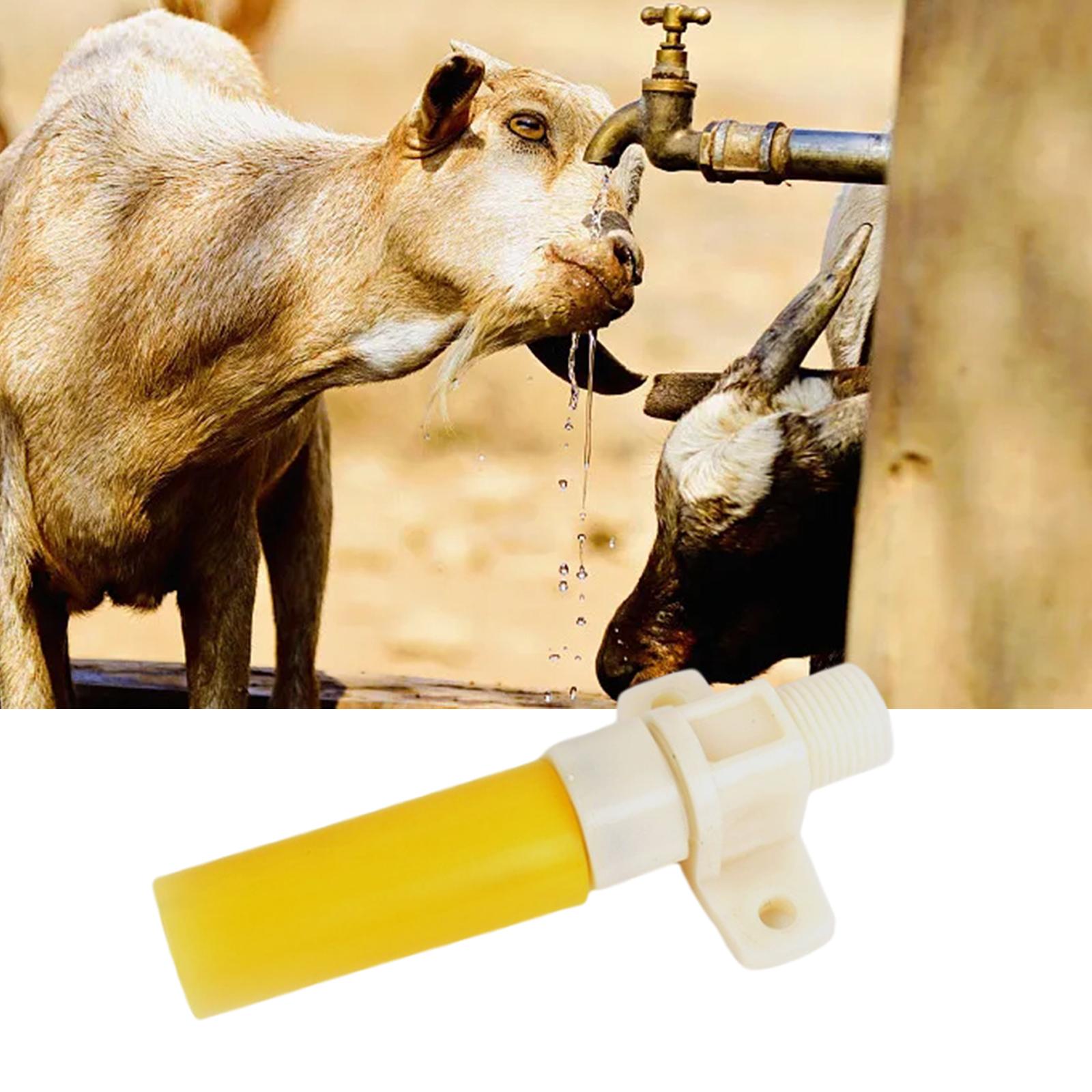 Automatic Waterer Bowl Valve Feeder Supplies 1Pcs for dogs farm Animal Piglet