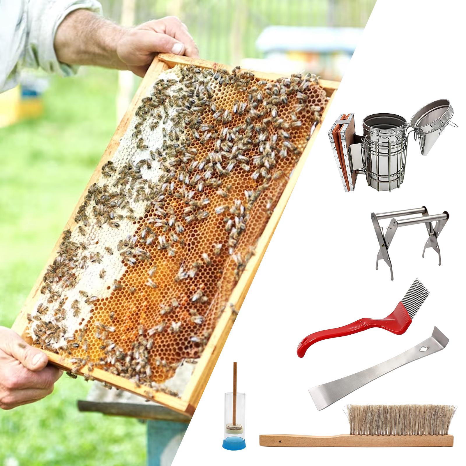 6 Pieces Beekeeping Supplies Starter Kits Beekeeping Accessory for Beginners