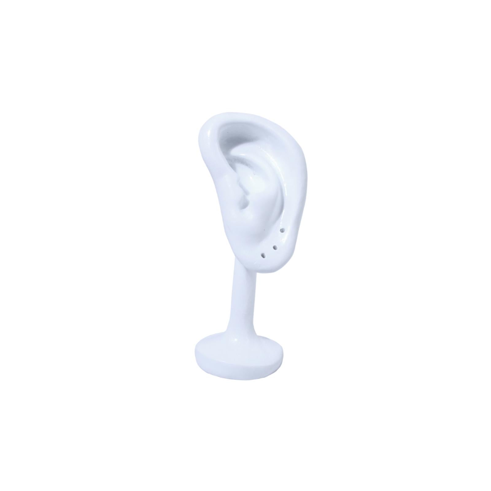 Earring Display Stand Resin Ear Shape Delicate Simulation Ear Stand White