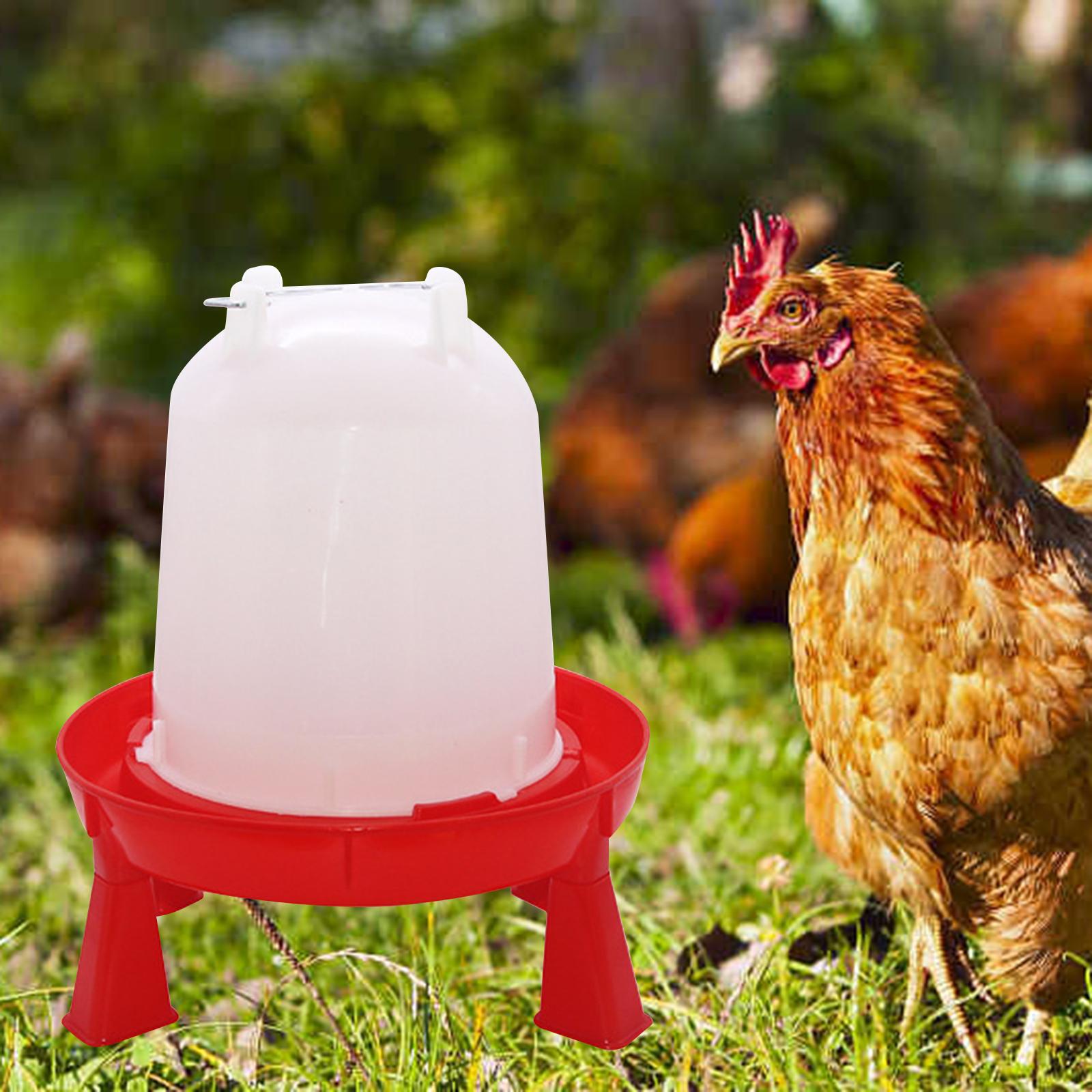 Chick Waterer Stable Food Trough Portable Pigeon Waterer for Animal Hen Coop