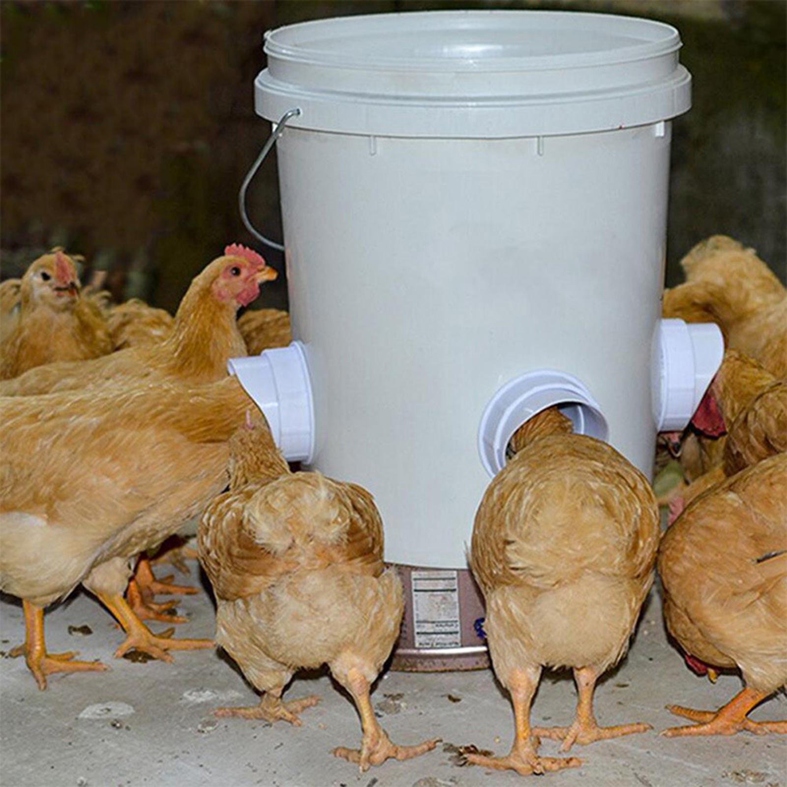 6 Pieces Automatic Poultry Feeder Reusable No Waste for Chicken Barrels Bins Orange