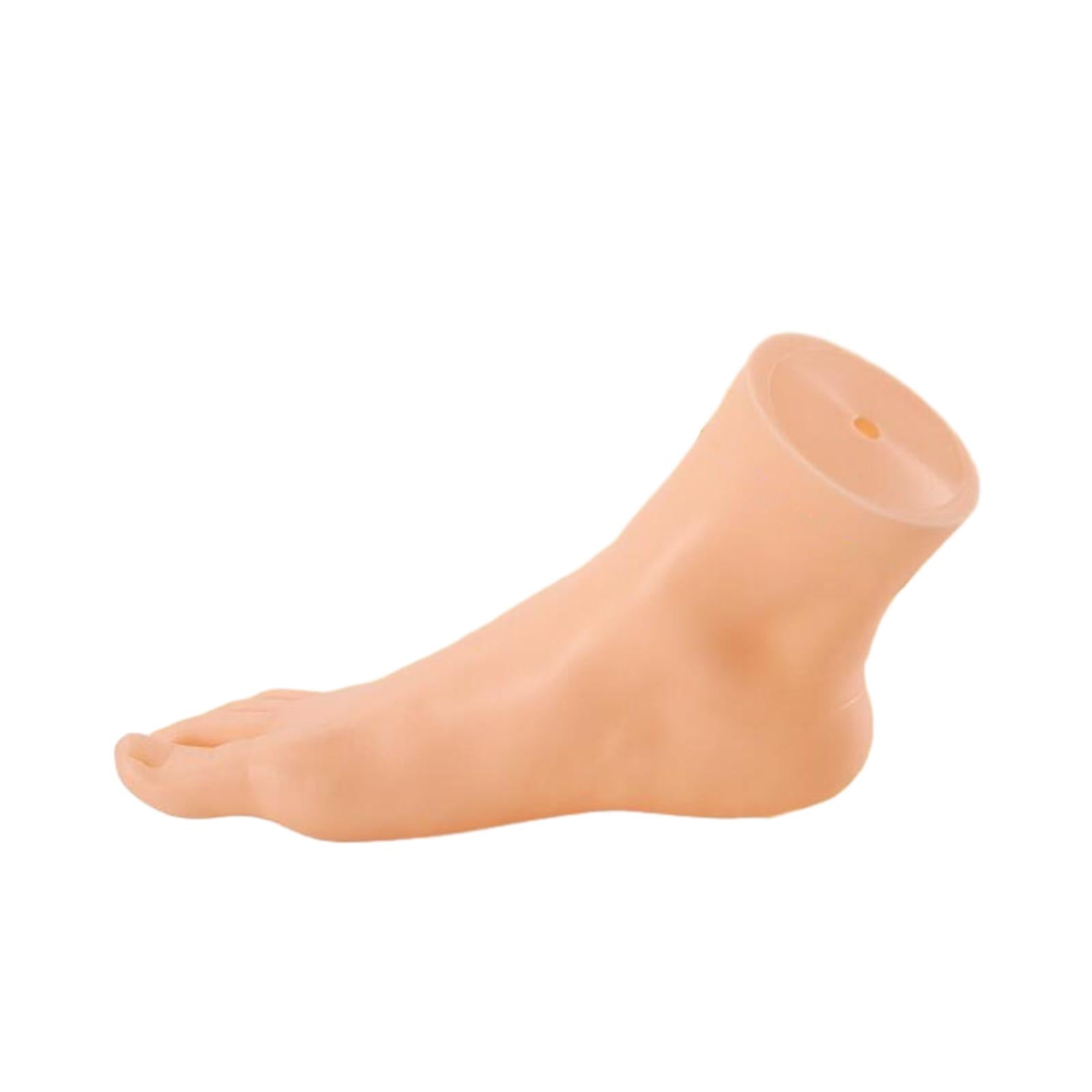 Mannequin Foot Display Durable Lightweight Foot Model for Shop Retail Chains Female Right Foot