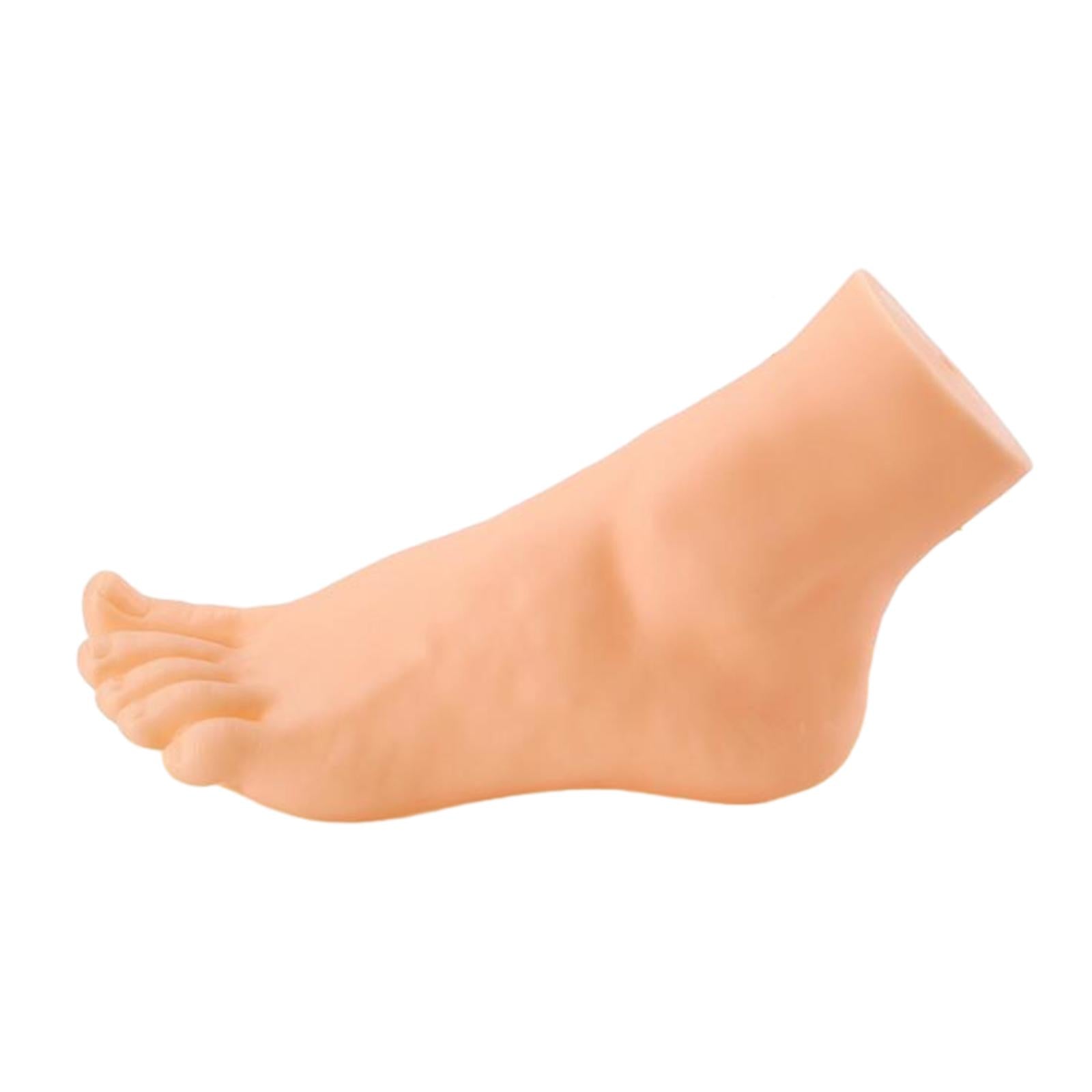 Mannequin Foot Display Durable Lightweight Foot Model for Shop Retail Chains Male Left Foot