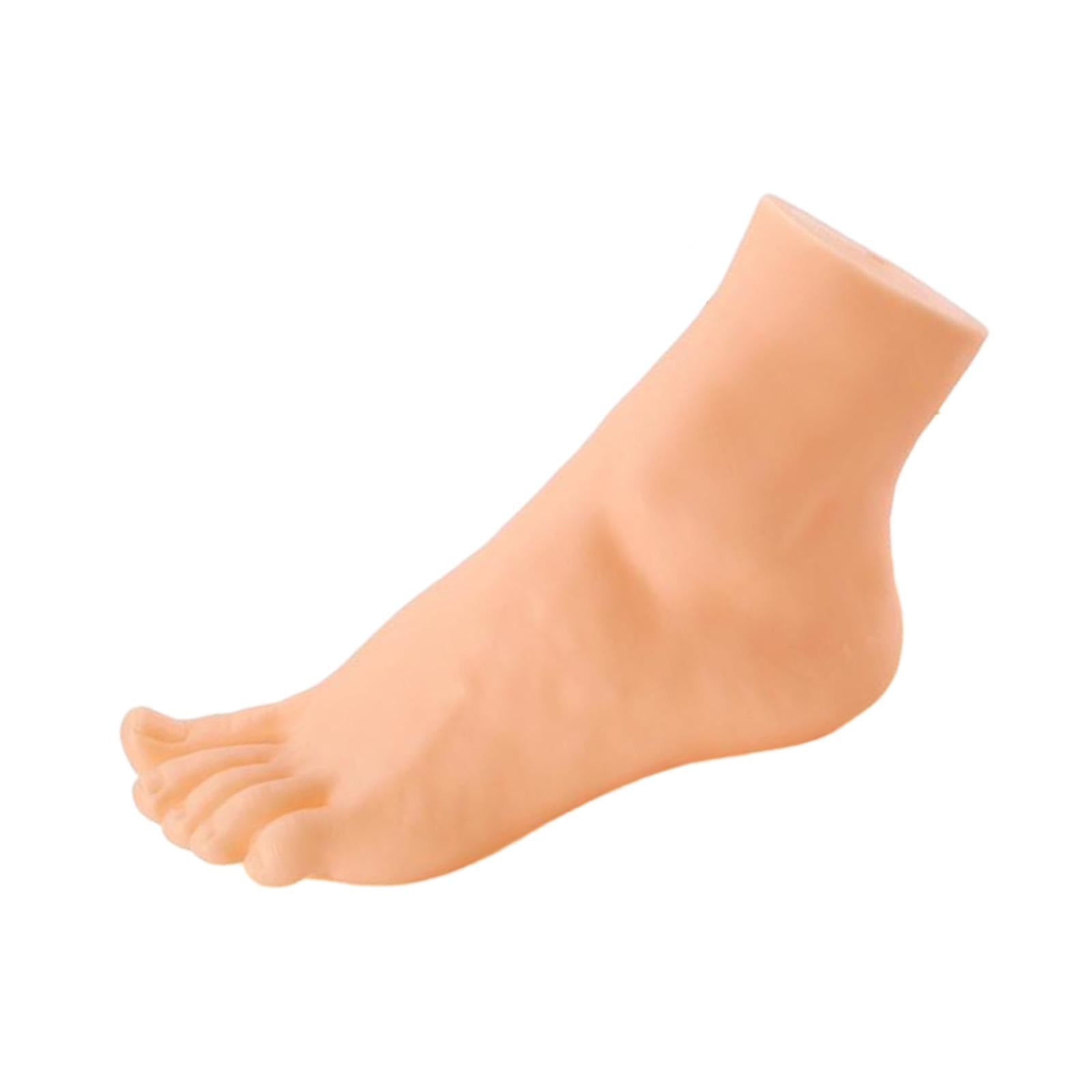 Mannequin Foot Display Durable Lightweight Foot Model for Shop Retail Chains Male Left Foot