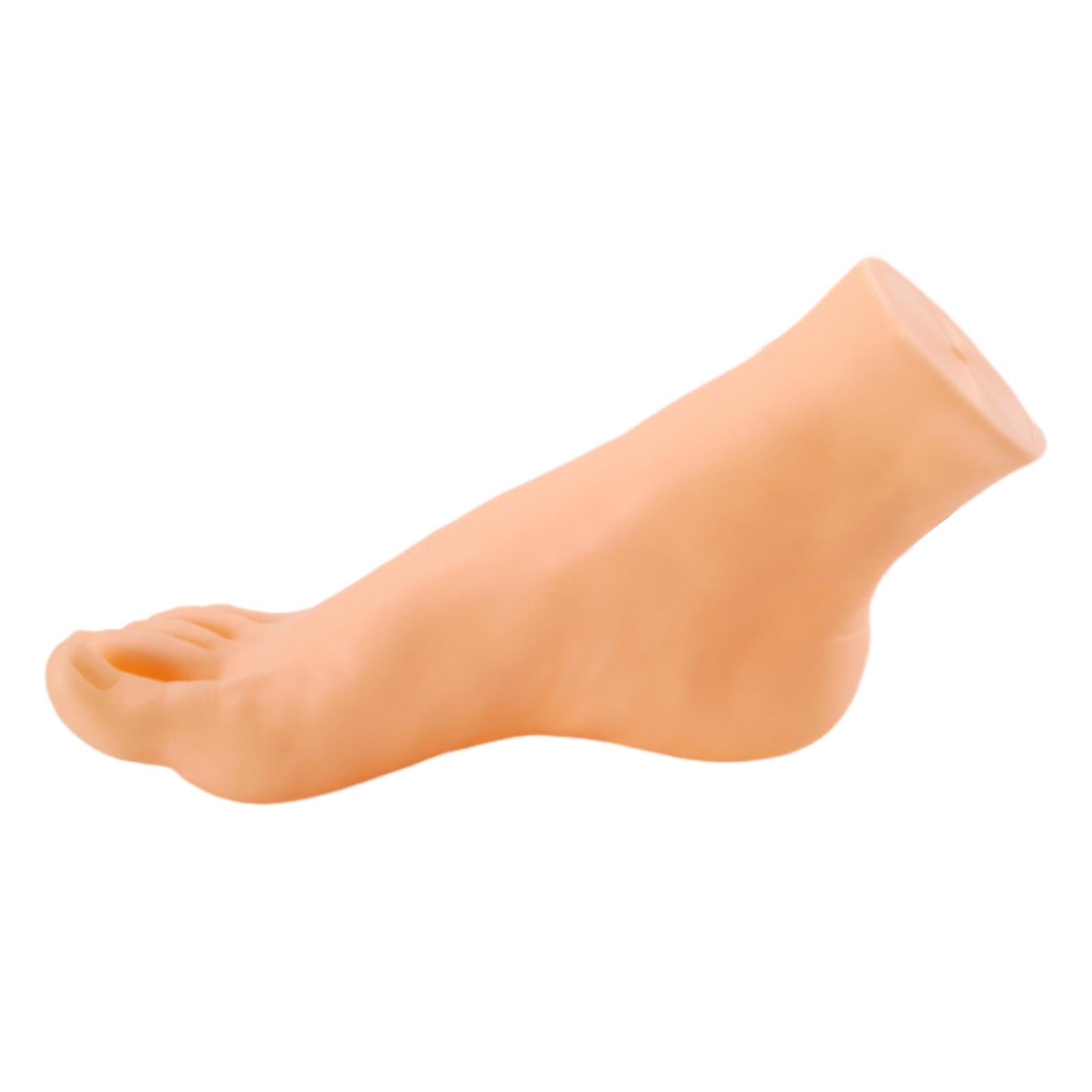 Mannequin Foot Display Durable Lightweight Foot Model for Shop Retail Chains Male Right Foot