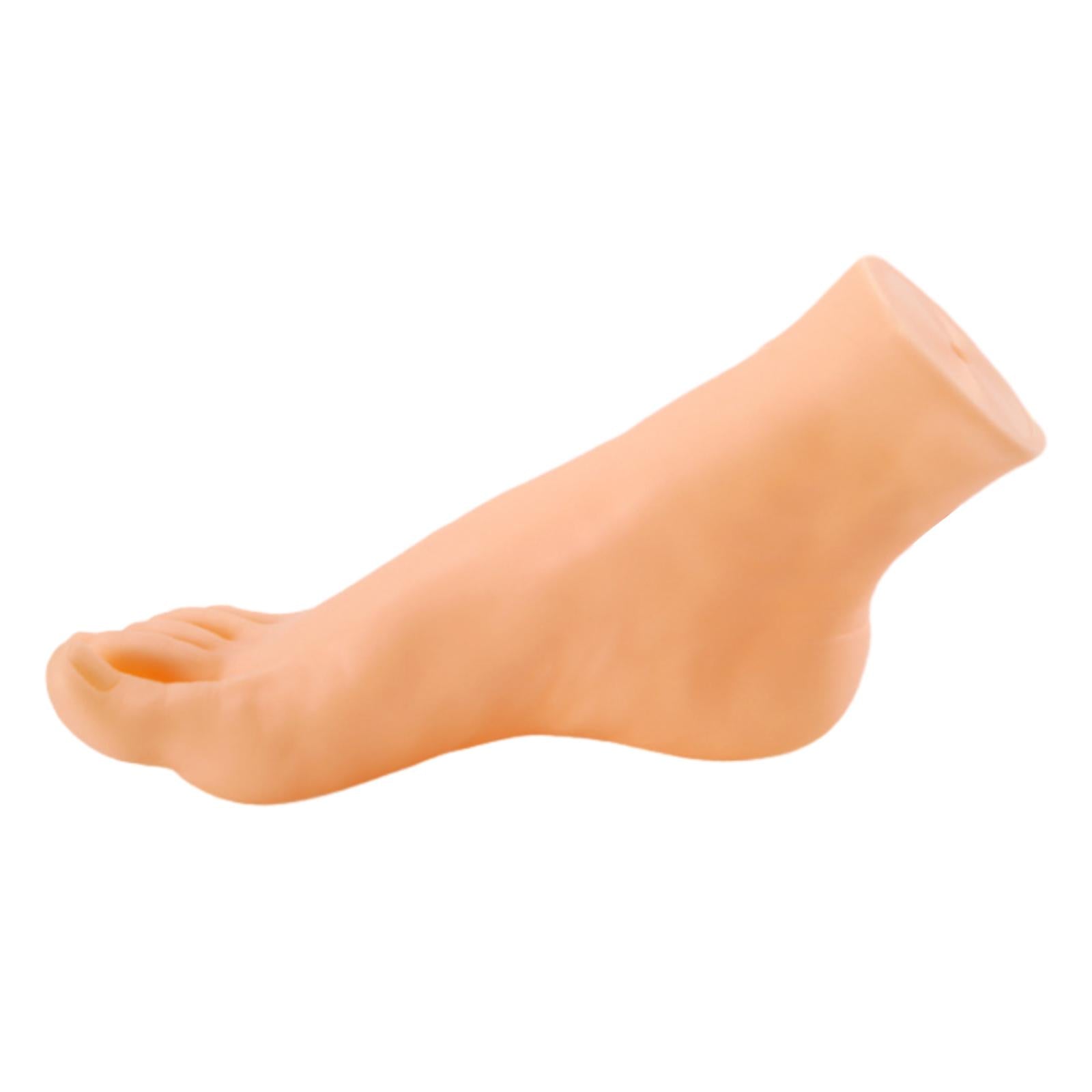 Mannequin Foot Display Durable Lightweight Foot Model for Shop Retail Chains Male Right Foot