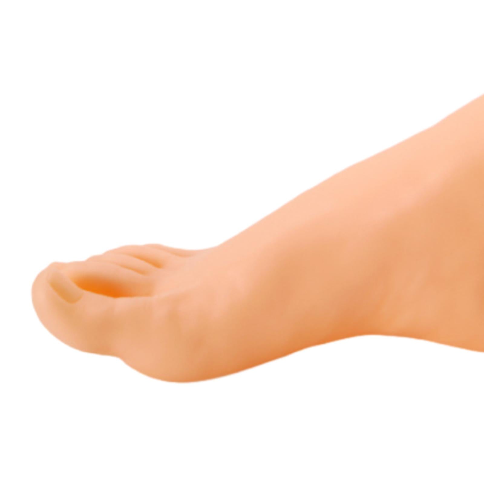 Mannequin Foot Display Durable Lightweight Foot Model for Shop Retail Chains Male Right Foot