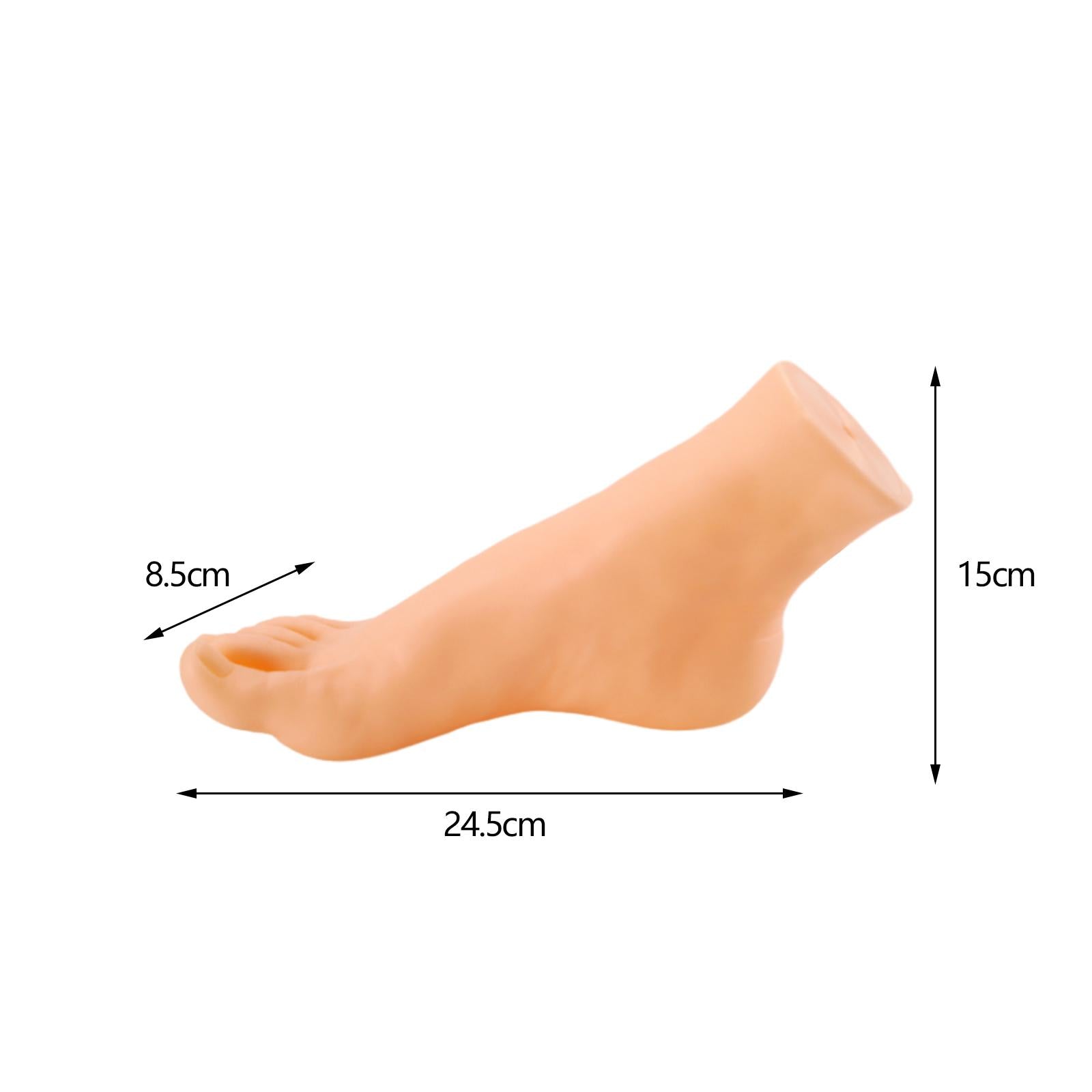 Mannequin Foot Display Durable Lightweight Foot Model for Shop Retail Chains Male Right Foot