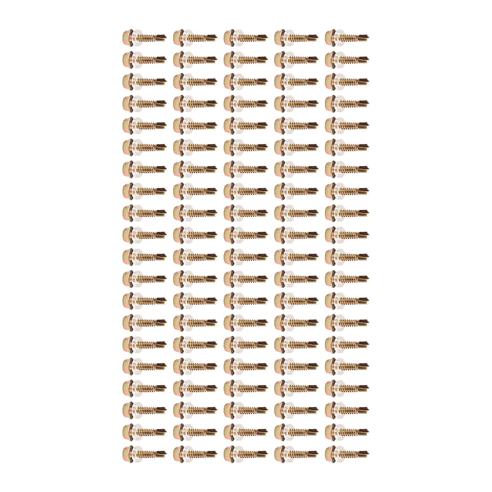 100 Pieces Hex Washer Head Self Drilling Screws Assembly Self Tapping Screws 4.8x25mm