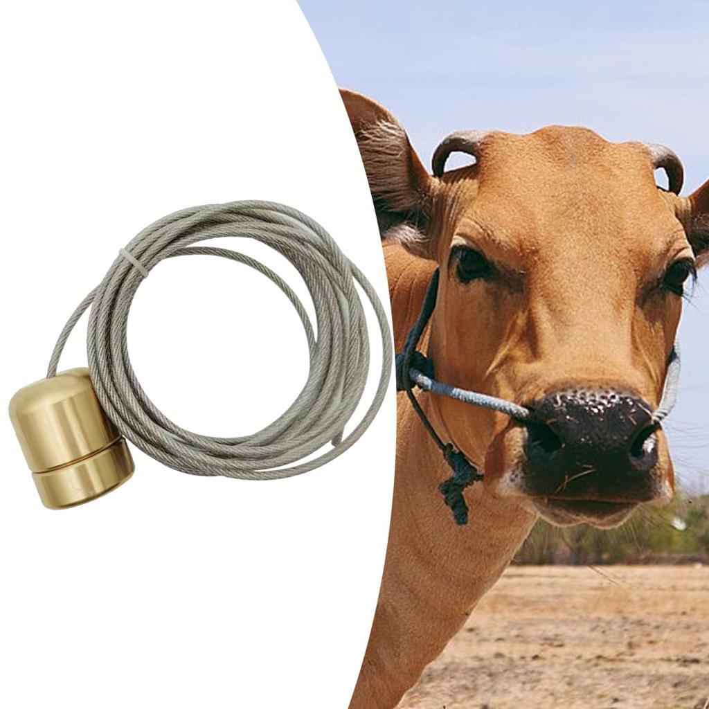 Bovine Magnet Absorber Rust Resistant Easy to Assemble Iron Taker Vet Farmer Type 4
