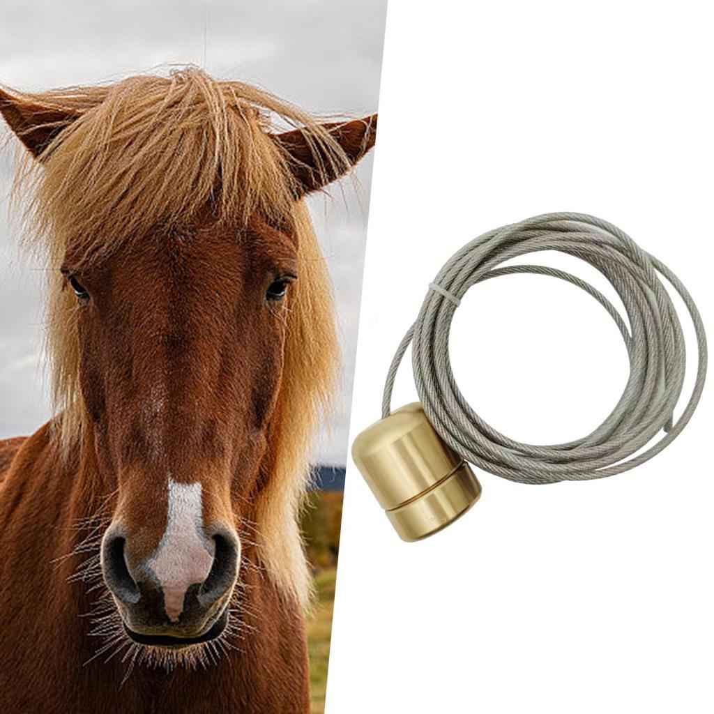 Bovine Magnet Absorber Rust Resistant Easy to Assemble Iron Taker Vet Farmer Type 4