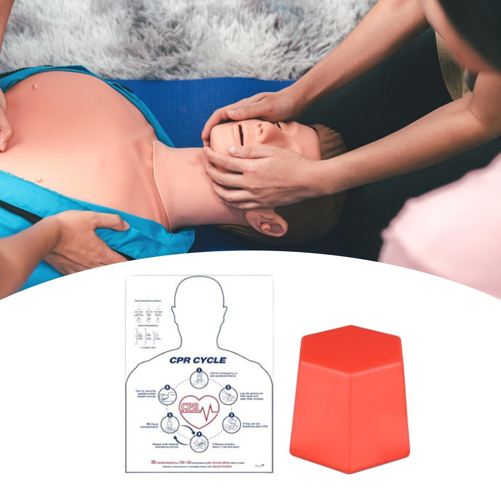 CHEST Compression Training Model Aid Instructors First Aid Training Tool