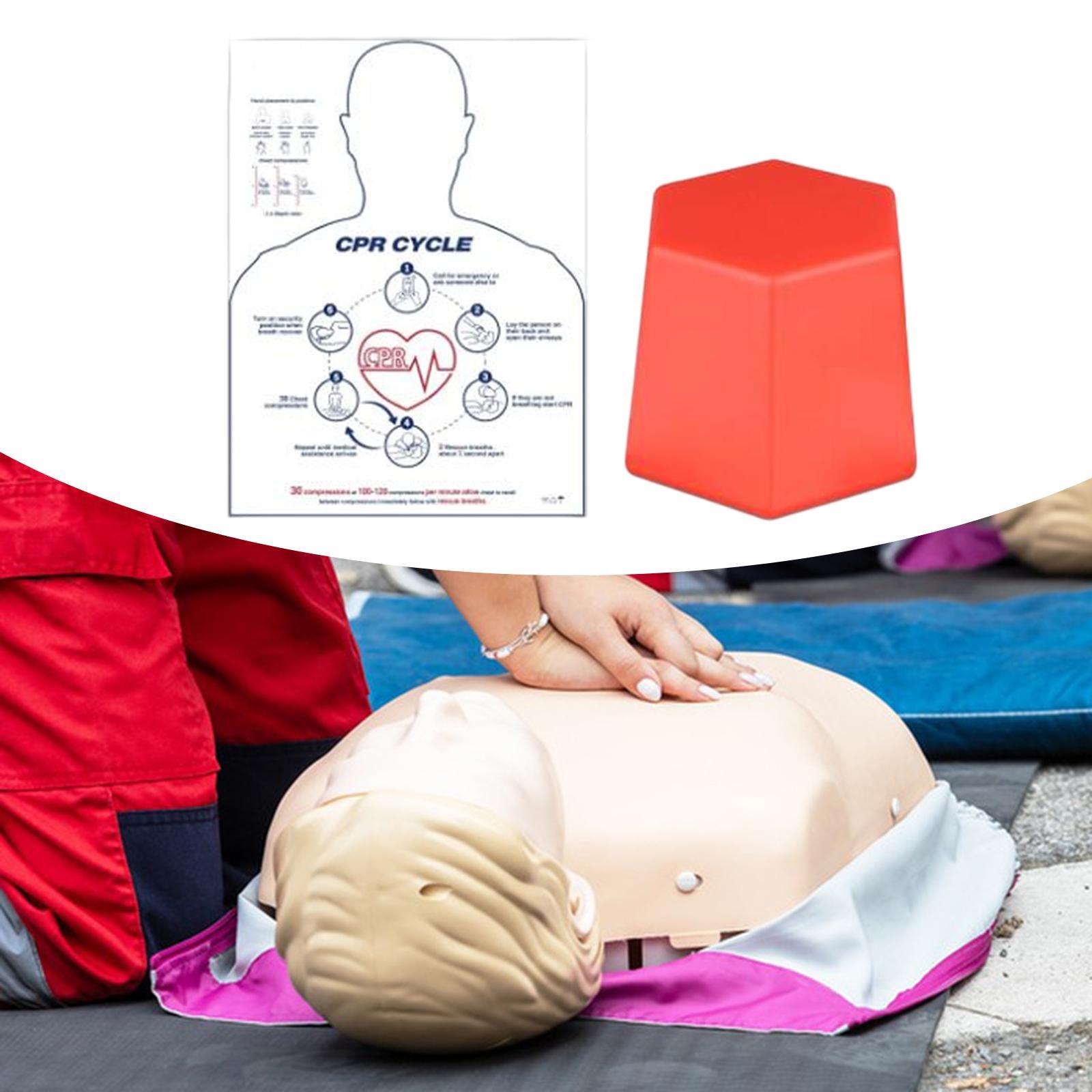 CHEST Compression Training Model Aid Instructors First Aid Training Tool