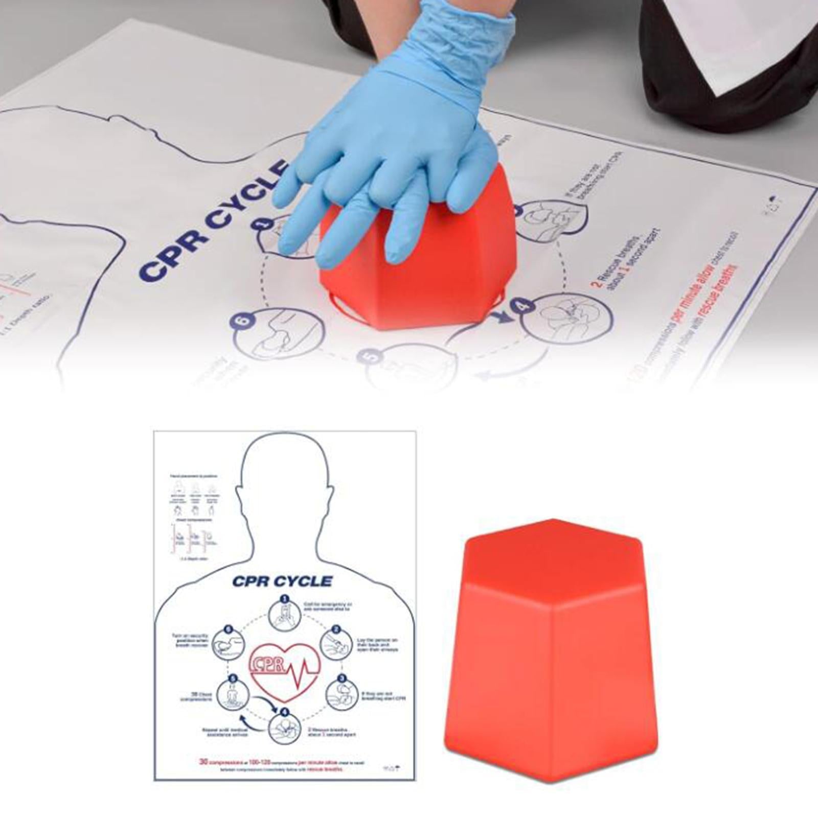 CHEST Compression Training Model Aid Instructors First Aid Training Tool