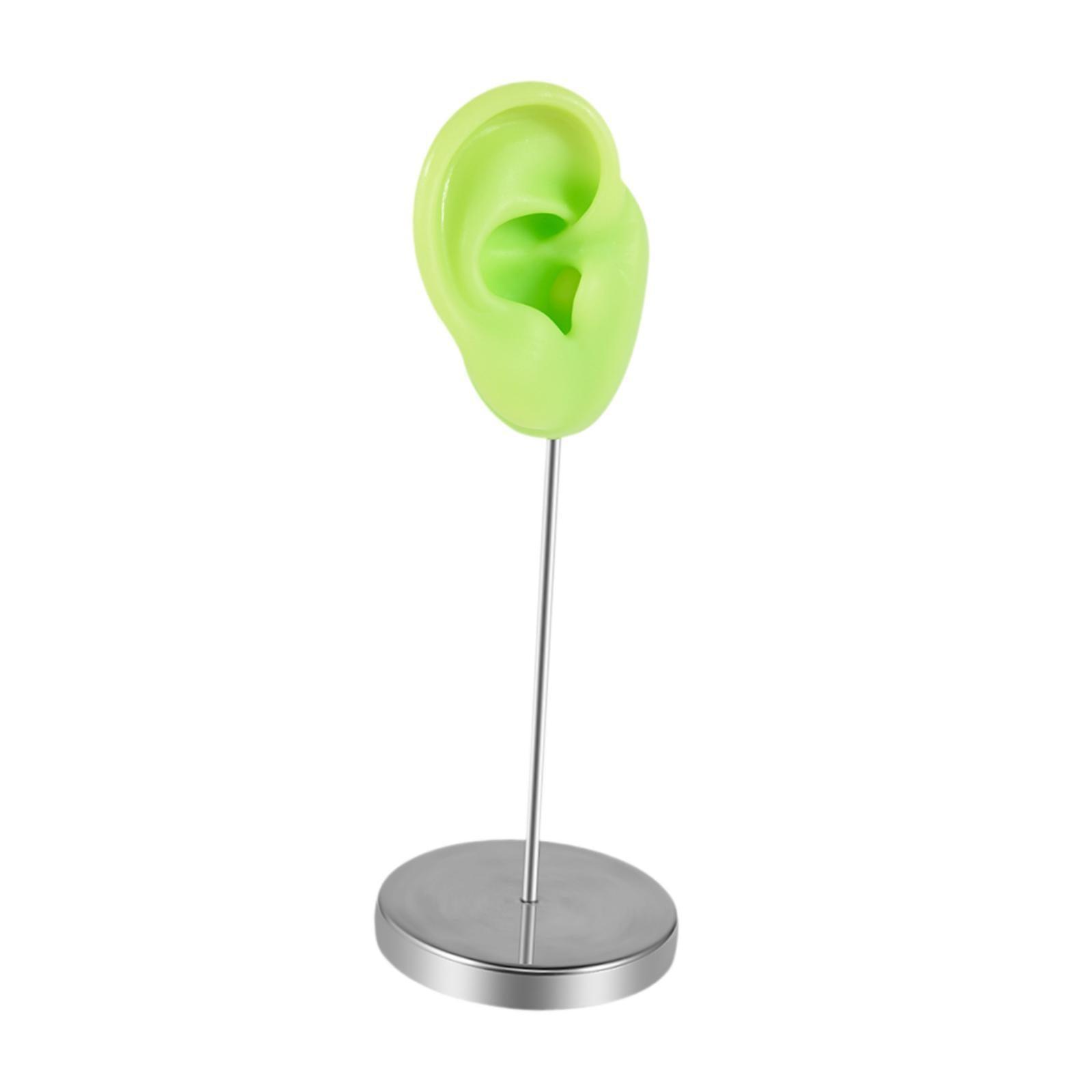 Earring Display Stand Jewelry Holder Teaching Tool Photos Silicone Ear Model Right
