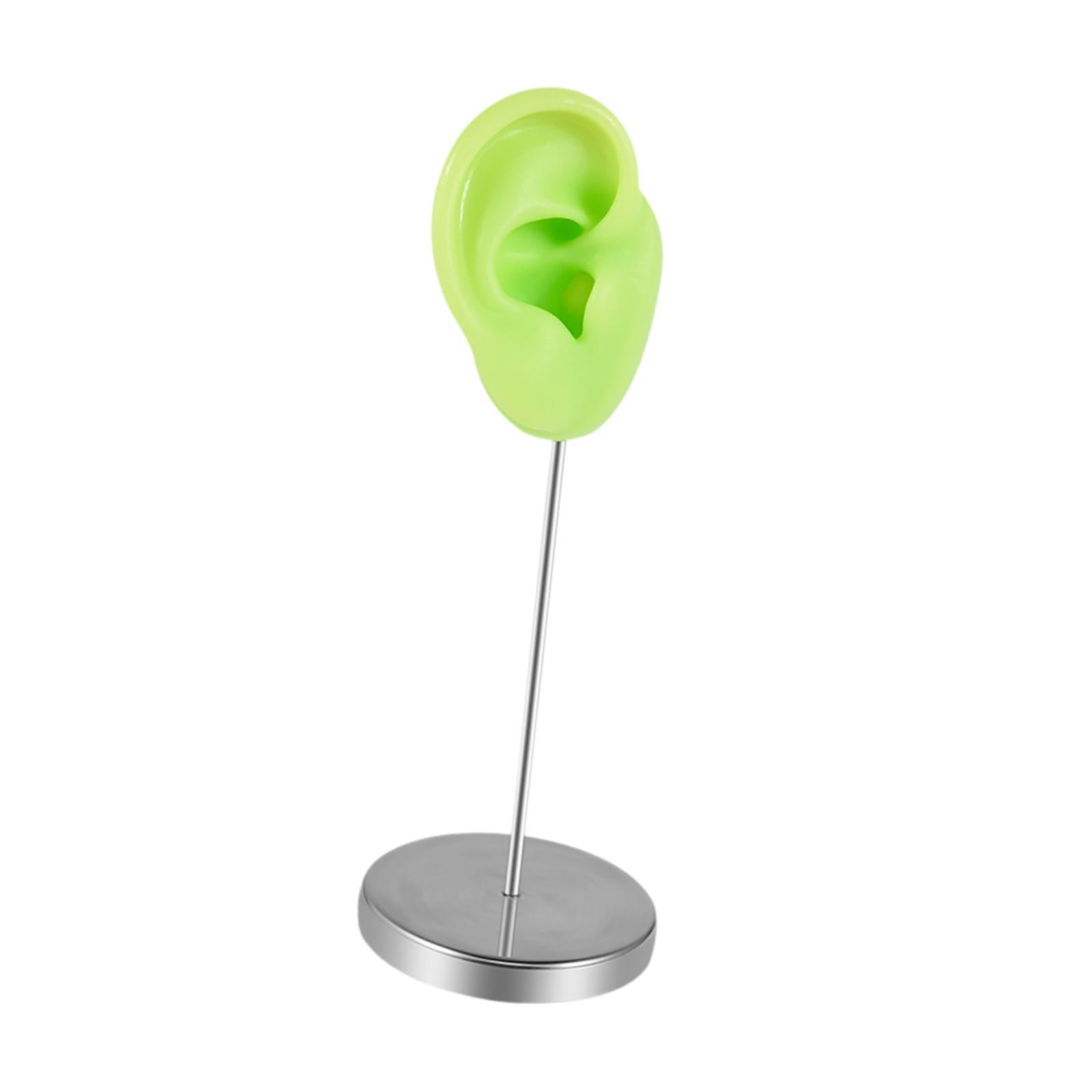 Earring Display Stand Jewelry Holder Teaching Tool Photos Silicone Ear Model Right