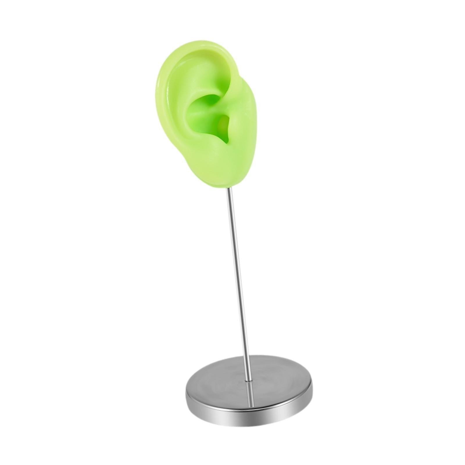 Earring Display Stand Jewelry Holder Teaching Tool Photos Silicone Ear Model Right