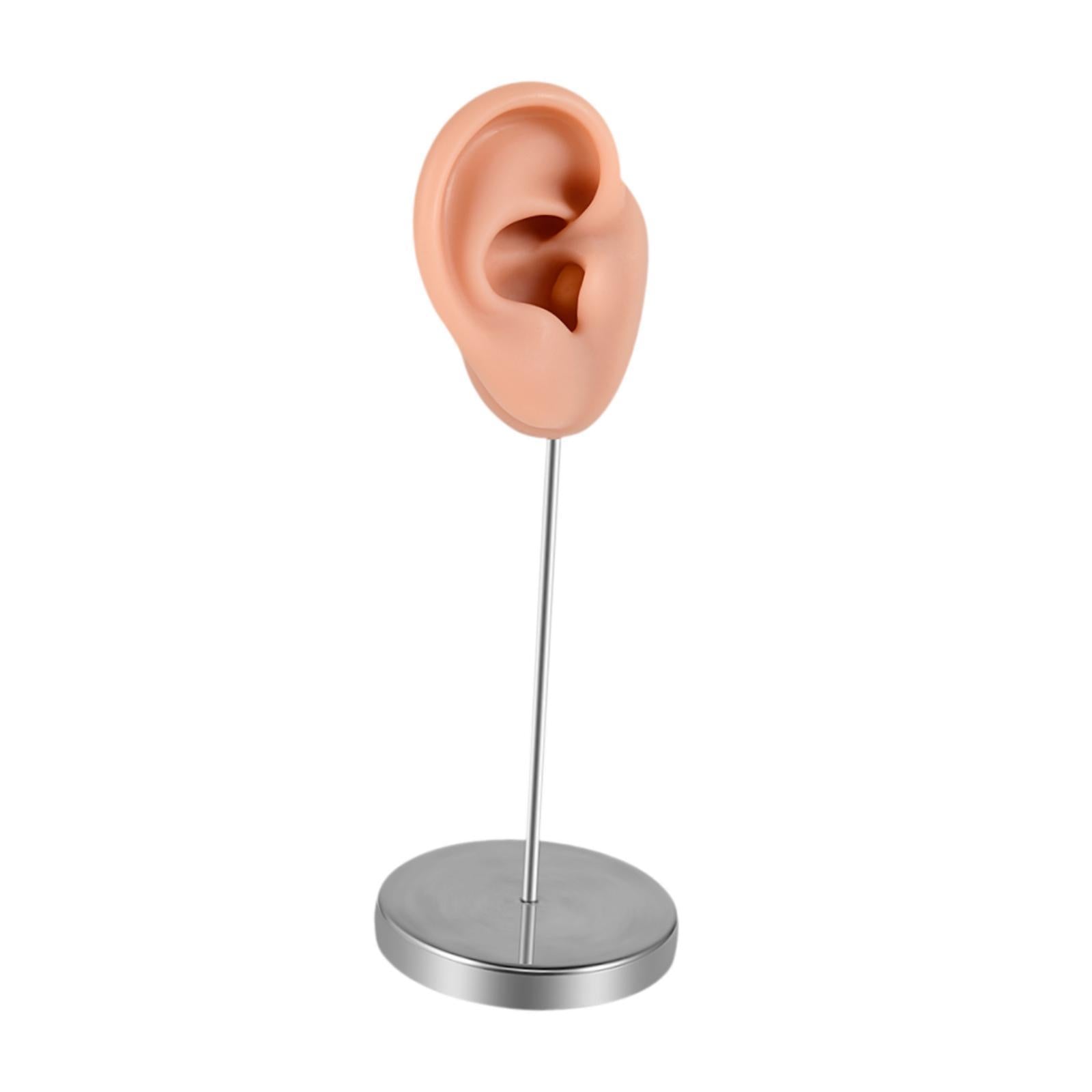 Silicone Ear Model Earring Display Stand Holder for Shows Girls Women Photos RIght