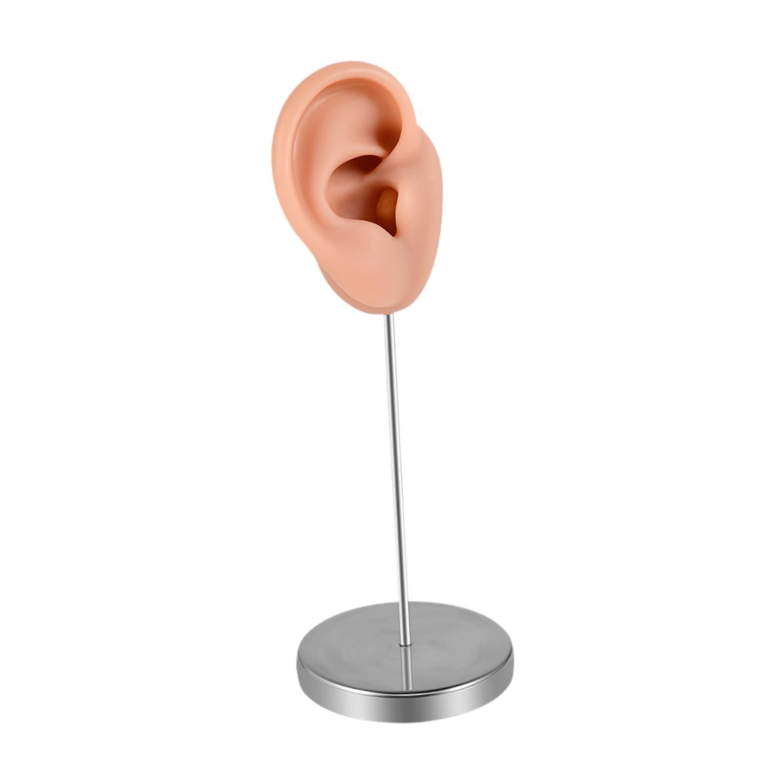 Silicone Ear Model Earring Display Stand Holder for Shows Girls Women Photos RIght