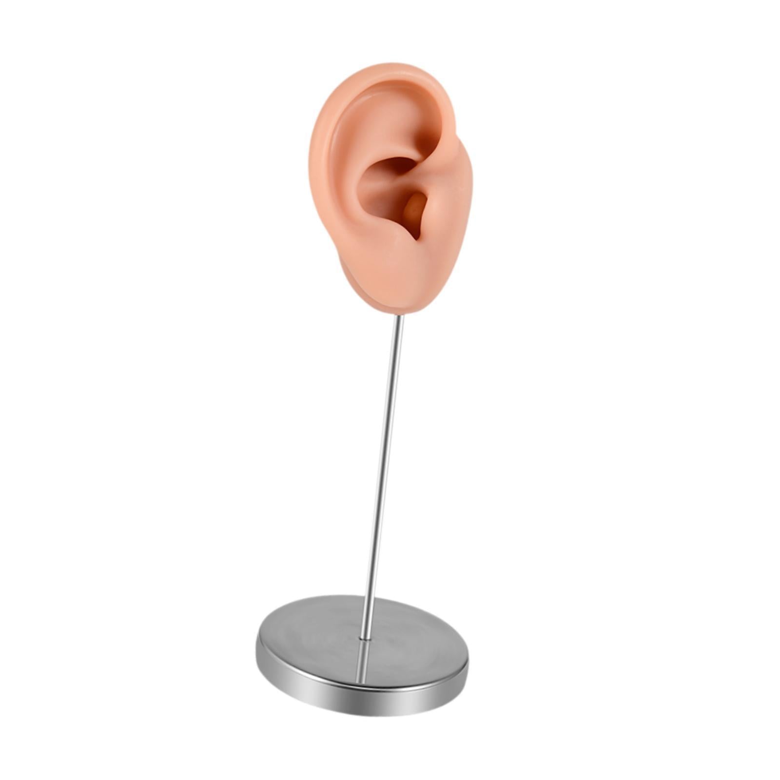 Silicone Ear Model Earring Display Stand Holder for Shows Girls Women Photos RIght