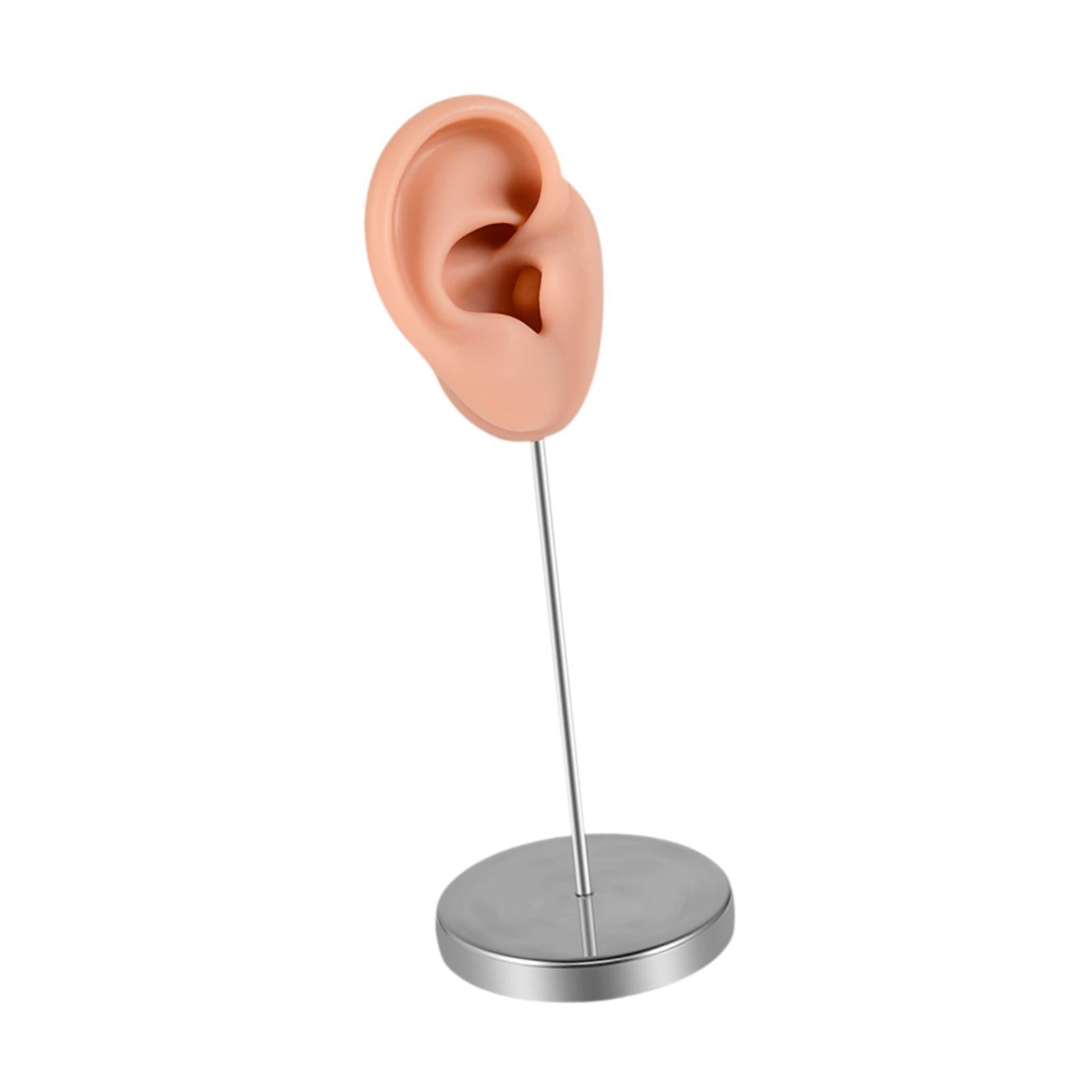Silicone Ear Model Earring Display Stand Holder for Shows Girls Women Photos RIght